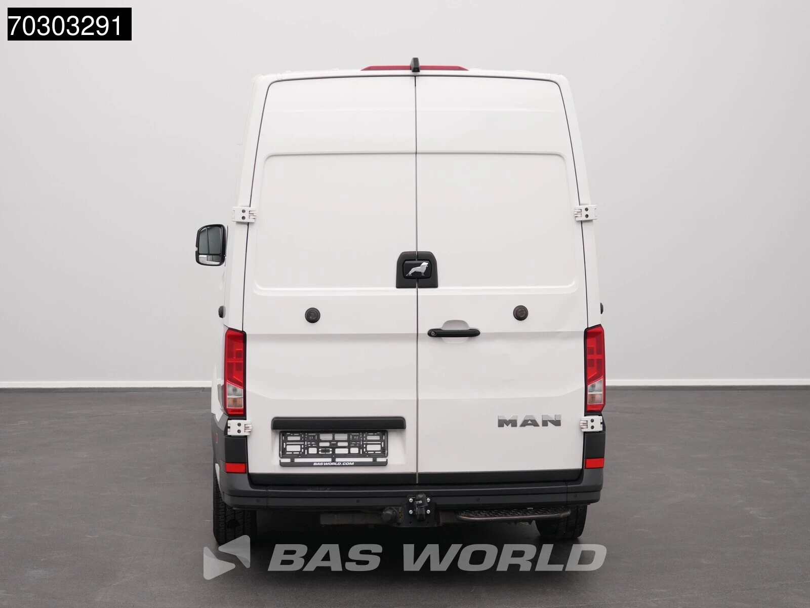 Hoofdafbeelding MAN TGE