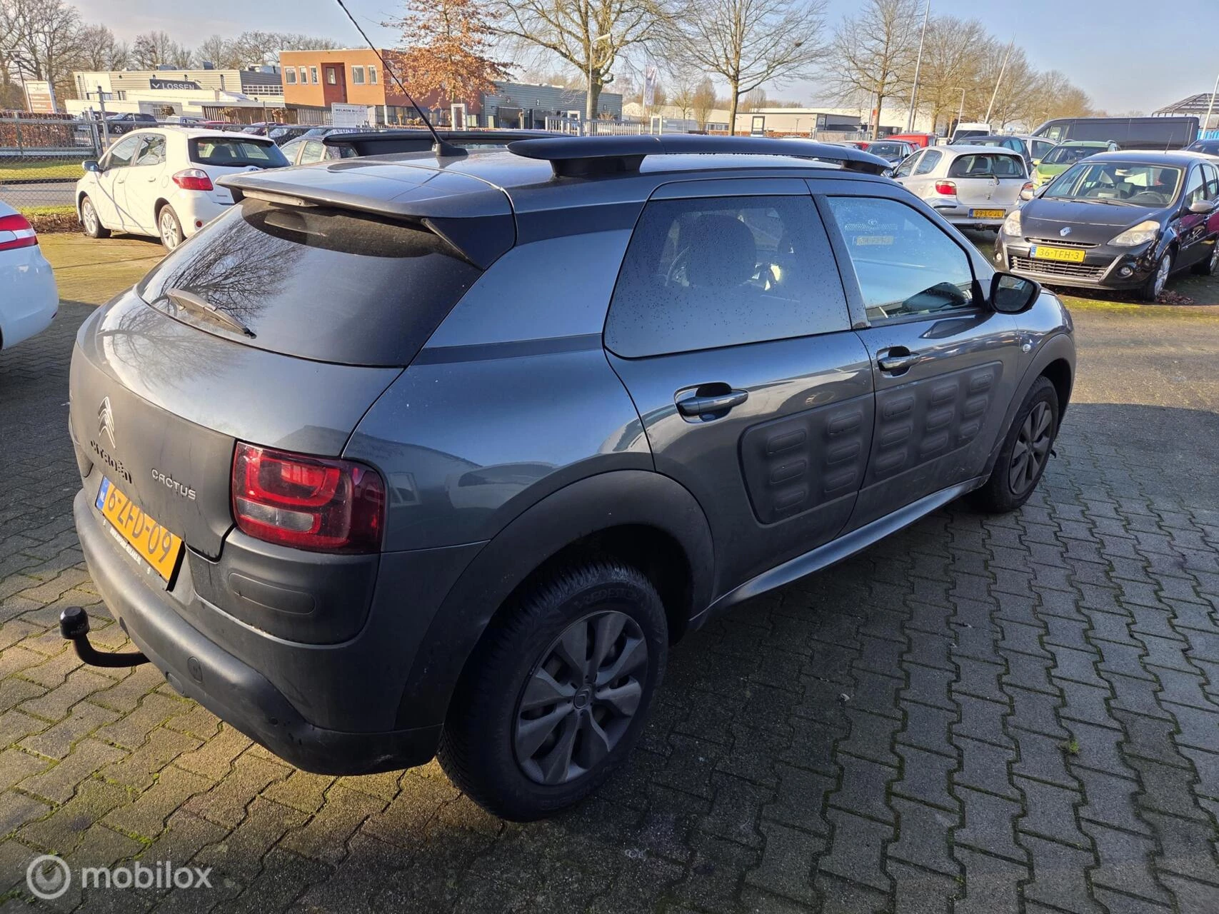 Hoofdafbeelding Citroën C4 Cactus