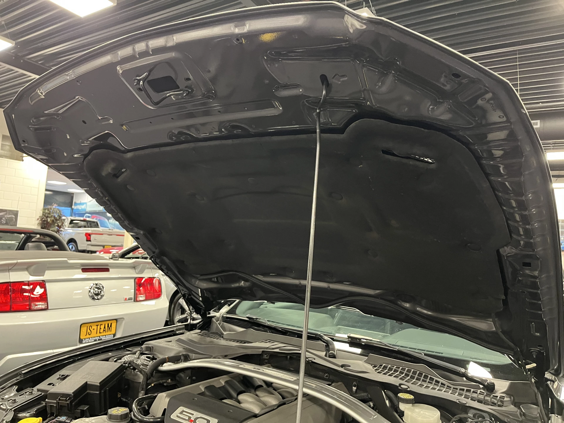 Hoofdafbeelding Ford Mustang