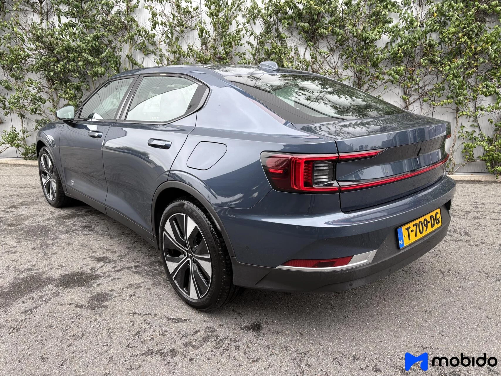 Hoofdafbeelding Polestar 2