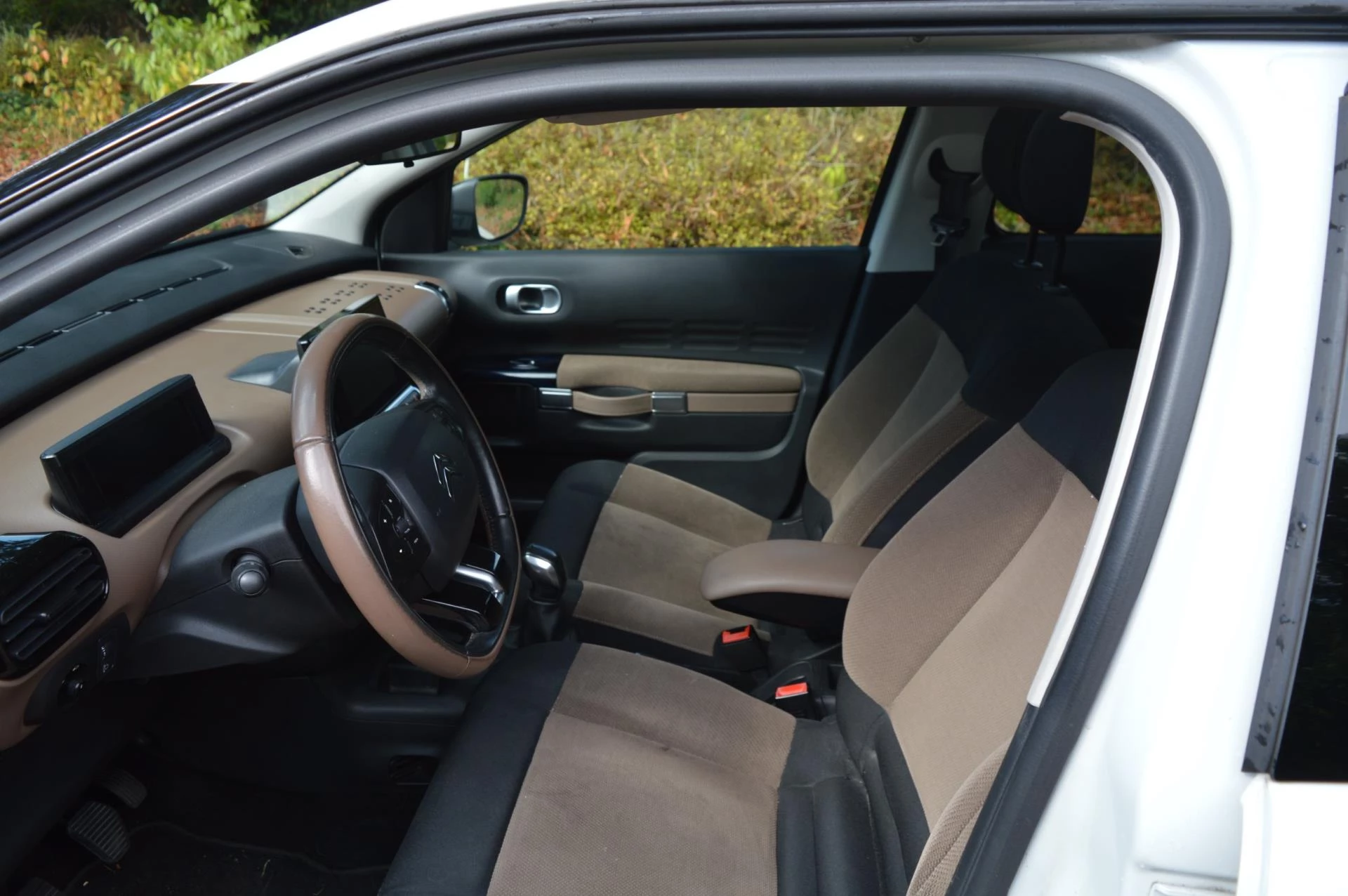 Hoofdafbeelding Citroën C4 Cactus