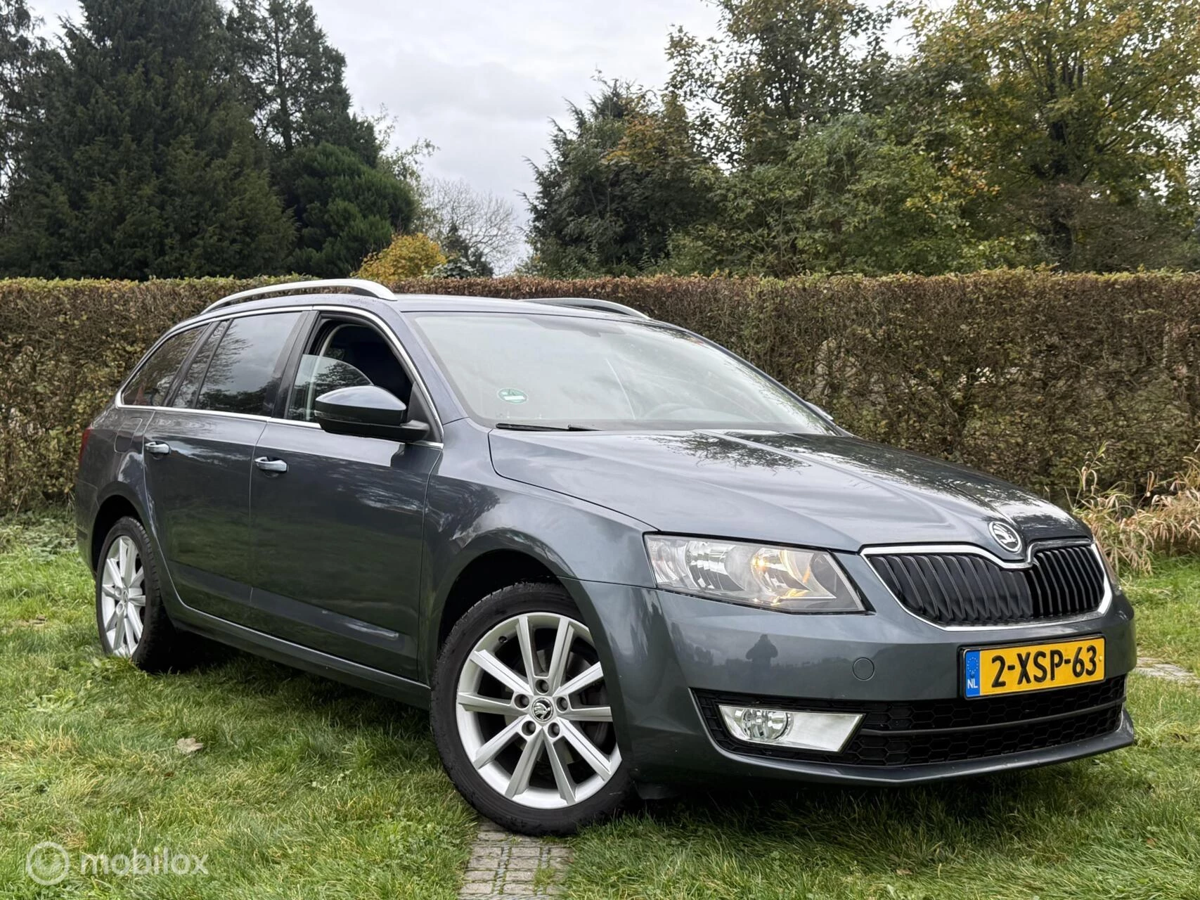 Hoofdafbeelding Škoda Octavia