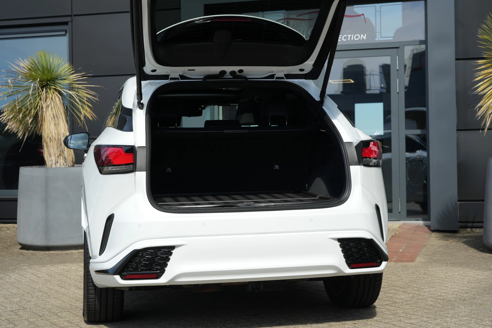 Hoofdafbeelding Lexus RX