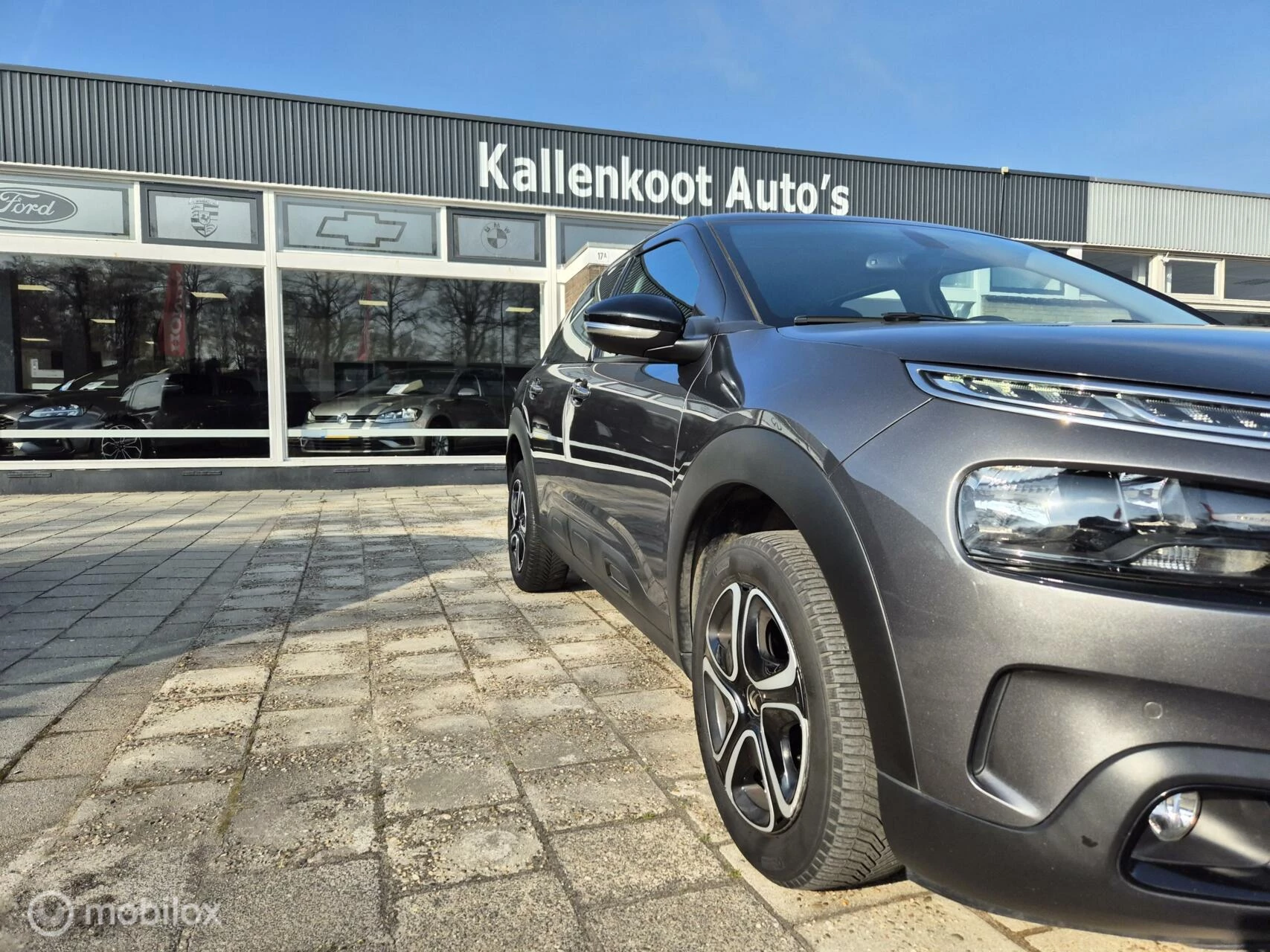 Hoofdafbeelding Citroën C4 Cactus