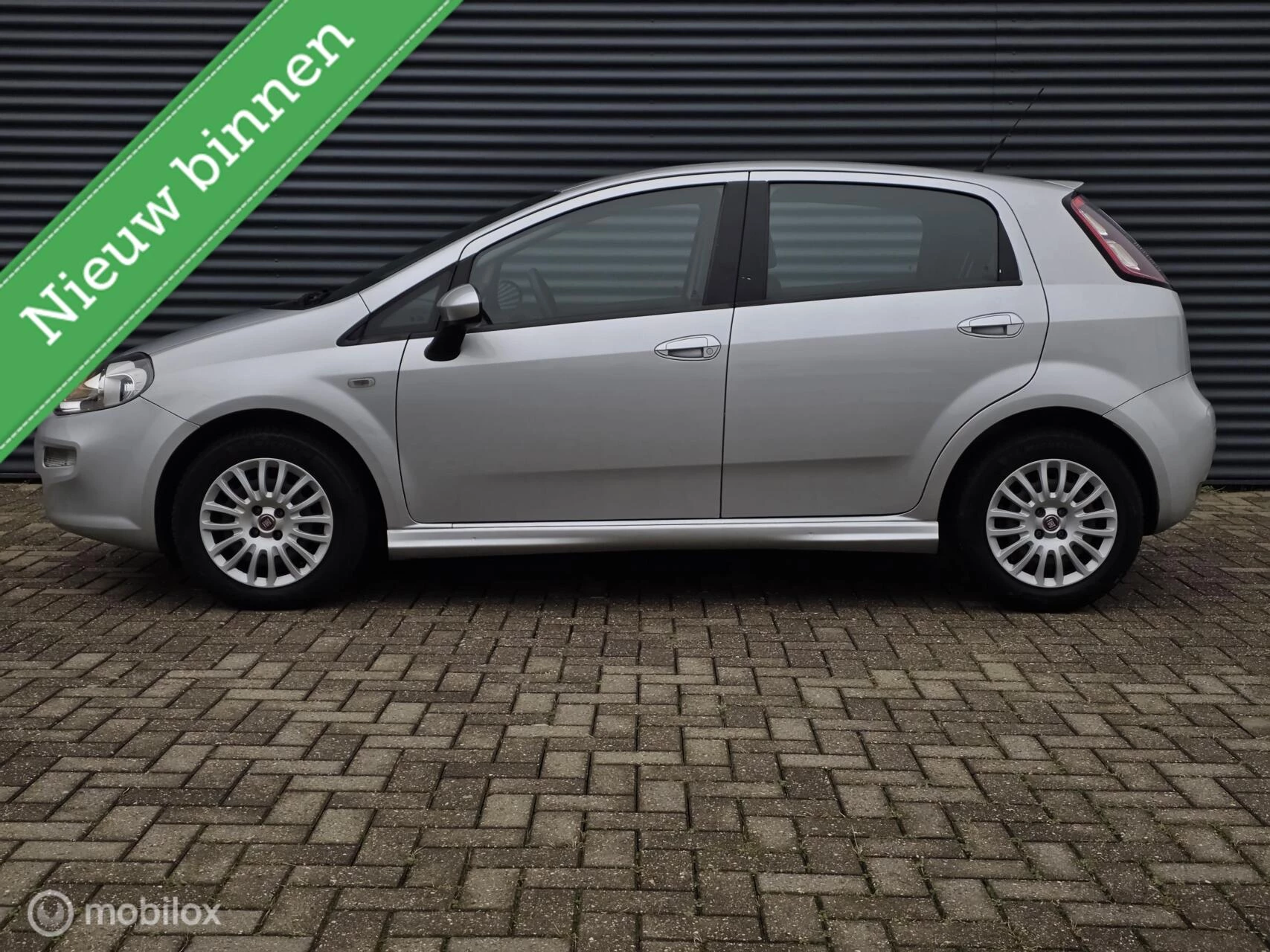 Hoofdafbeelding Fiat Punto