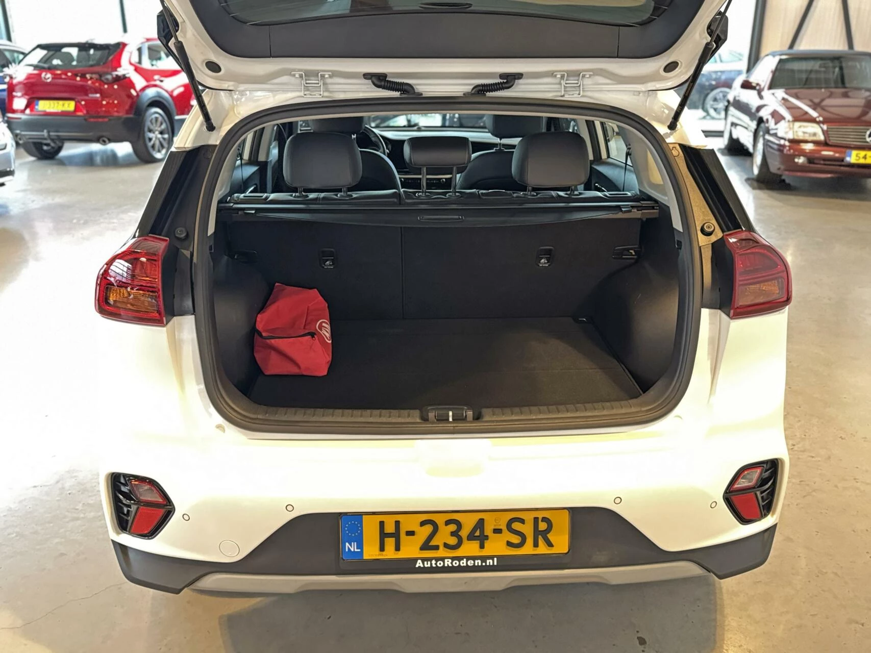 Hoofdafbeelding Kia Niro