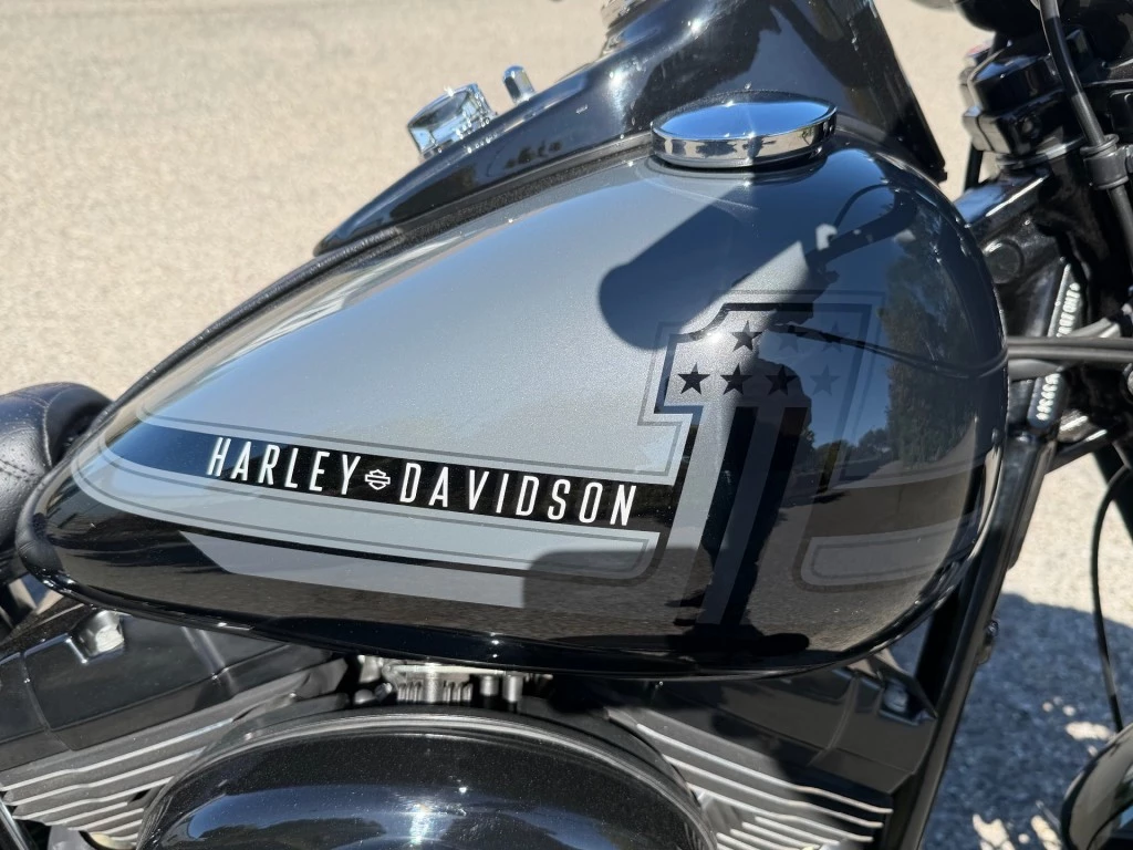 Hoofdafbeelding Harley-Davidson Softail