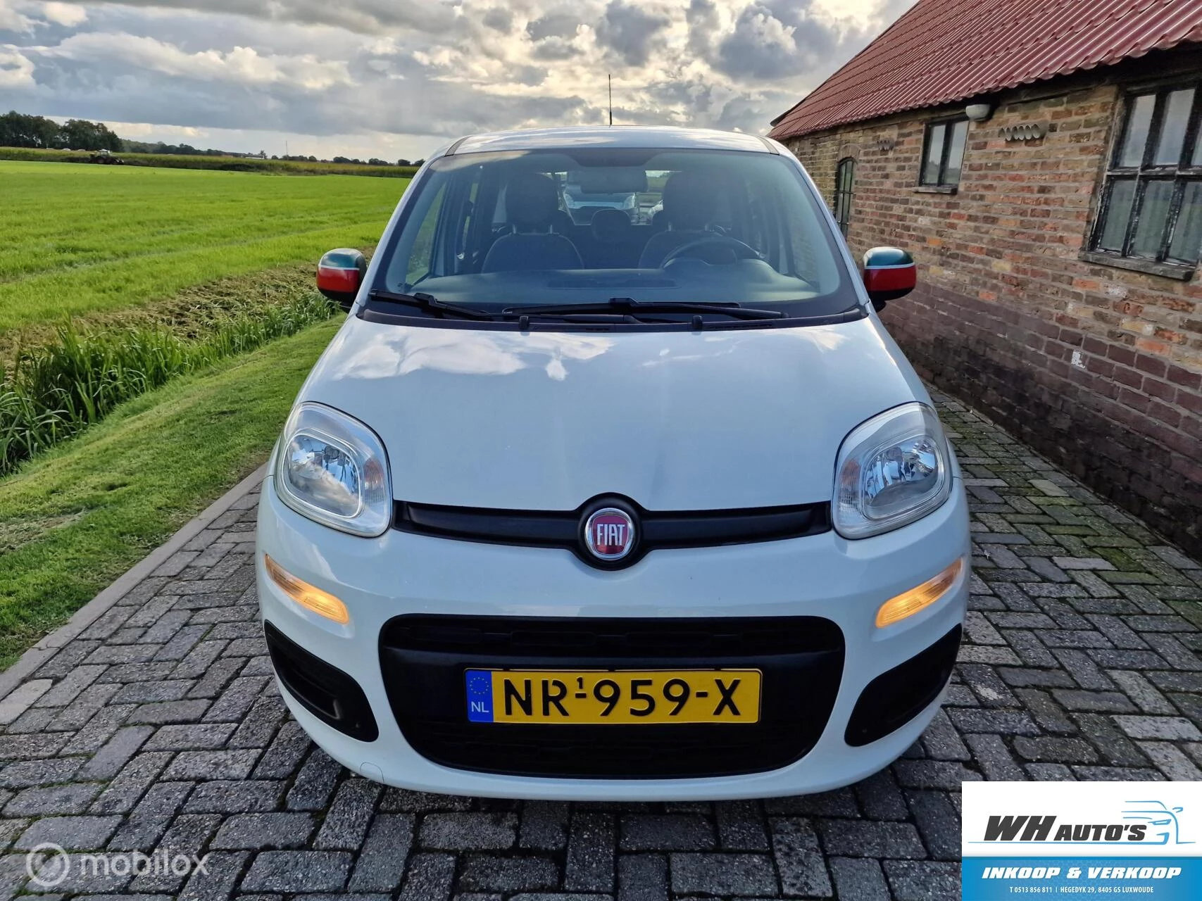 Hoofdafbeelding Fiat Panda