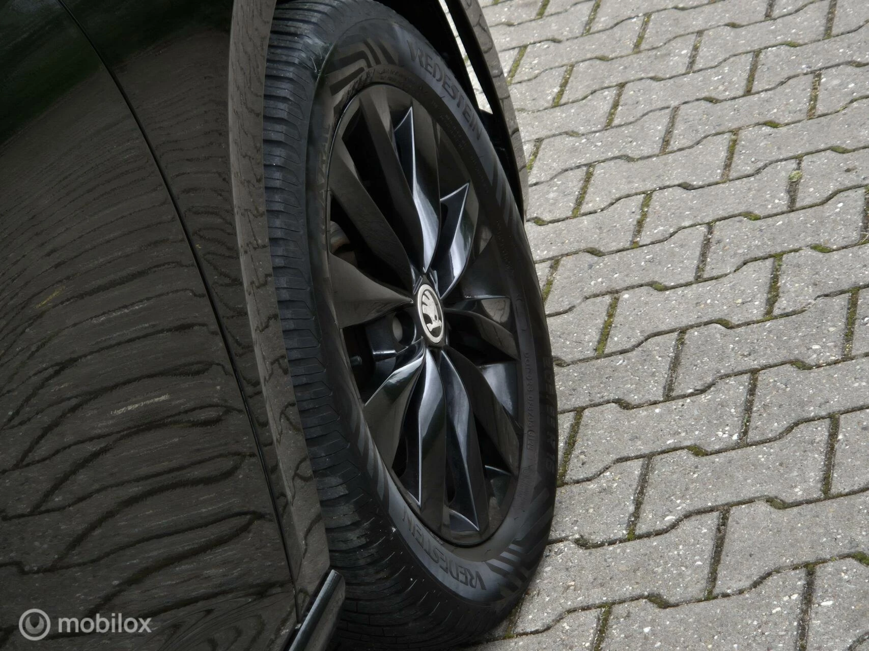 Hoofdafbeelding Škoda Scala