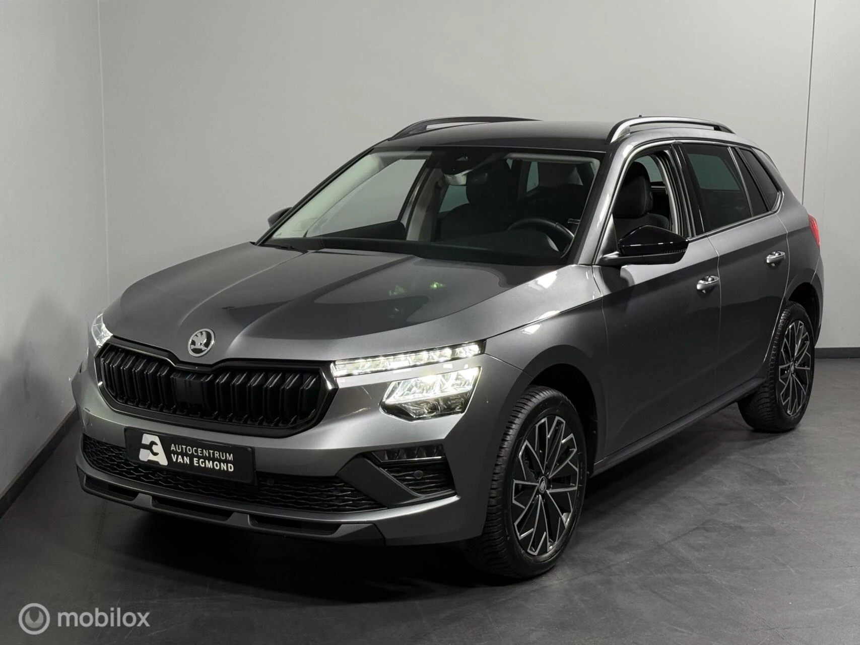 Hoofdafbeelding Škoda Kamiq