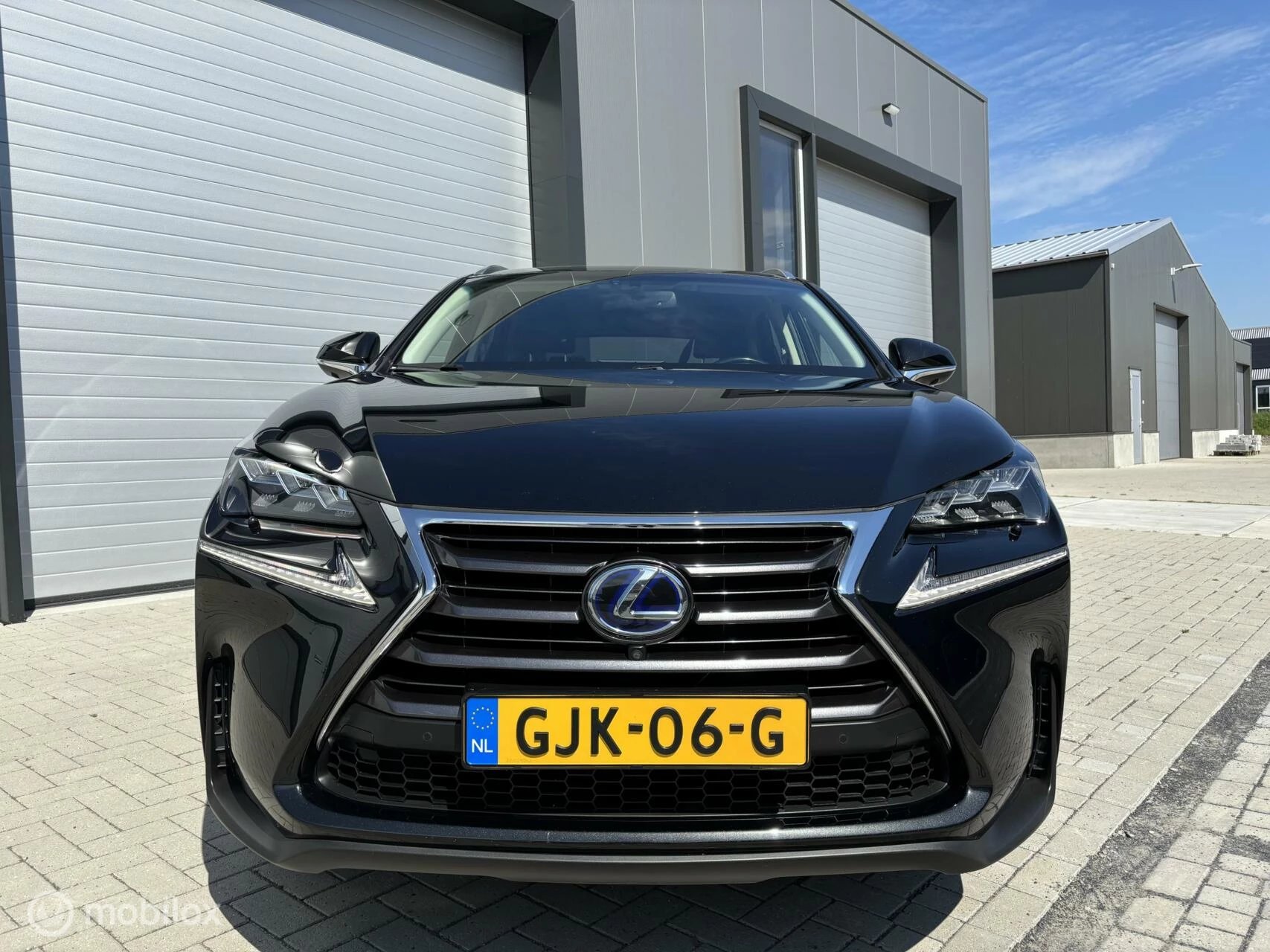 Hoofdafbeelding Lexus NX