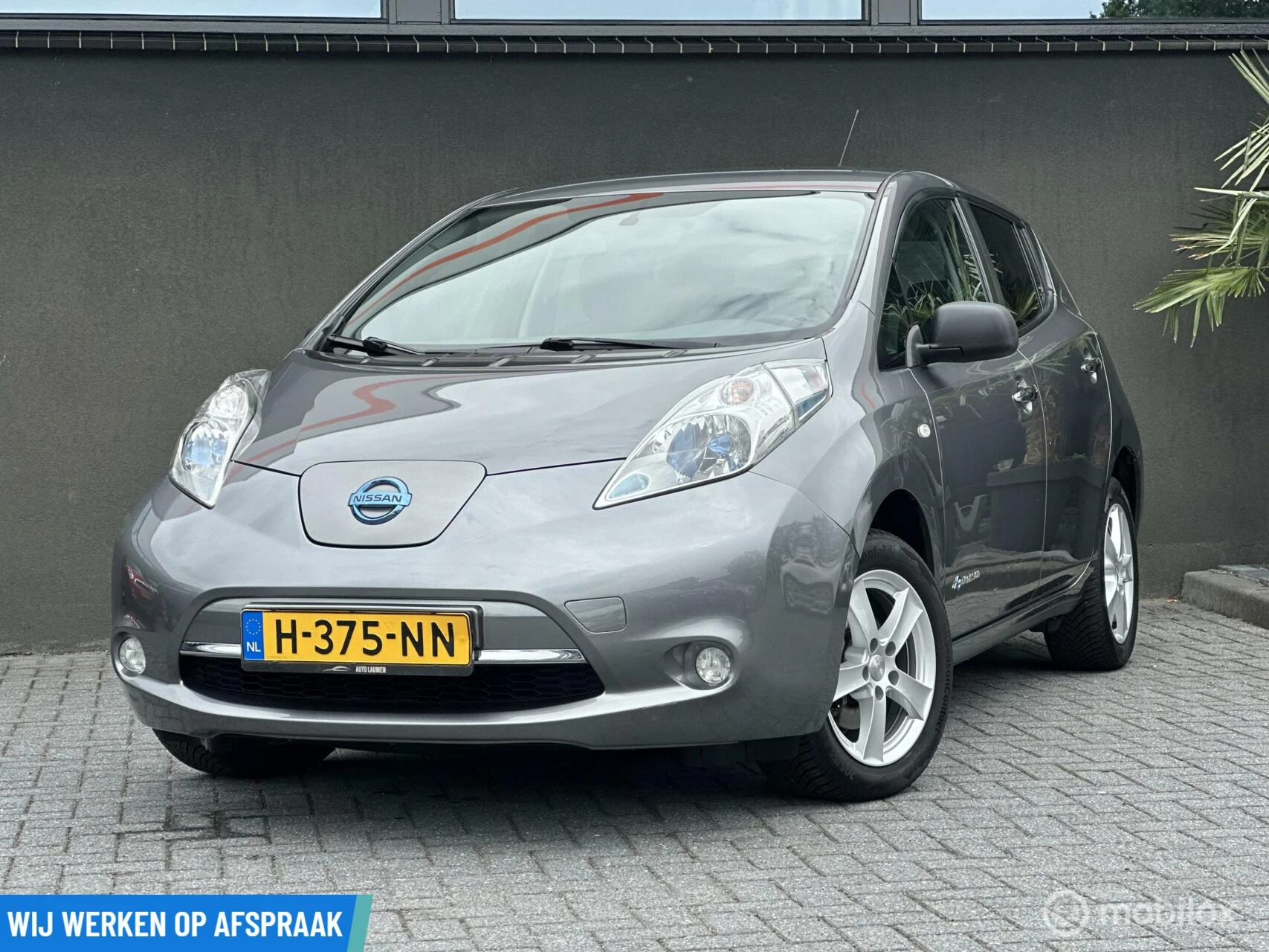 Hoofdafbeelding Nissan Leaf