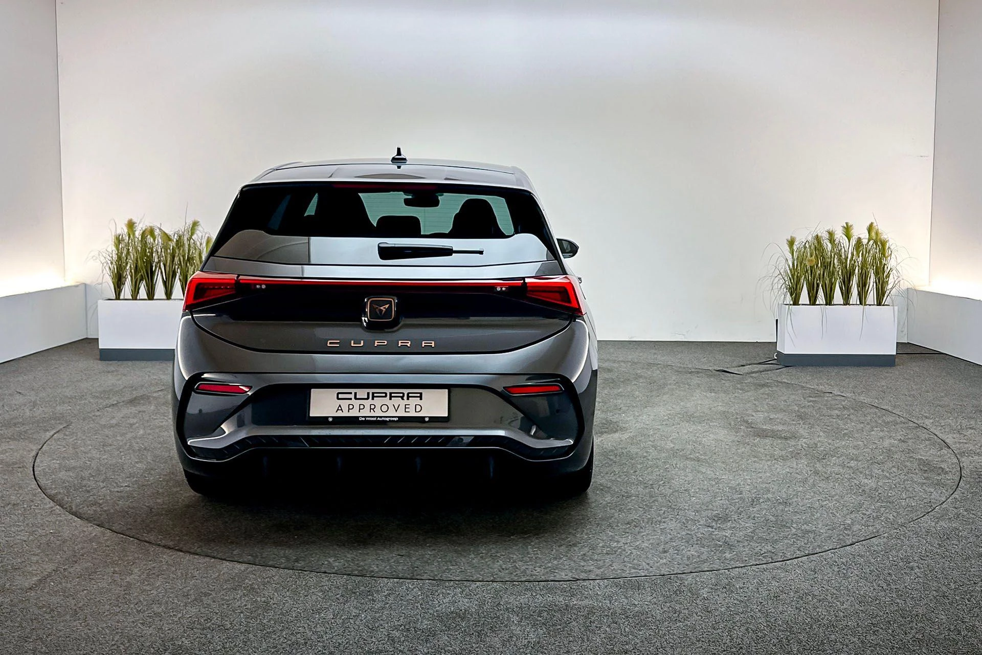 Hoofdafbeelding CUPRA Born