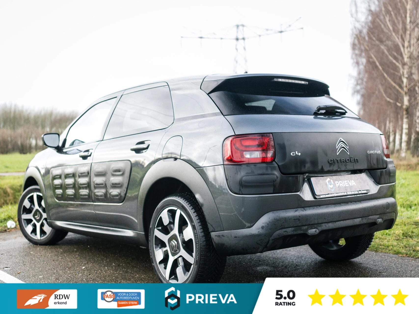 Hoofdafbeelding Citroën C4 Cactus