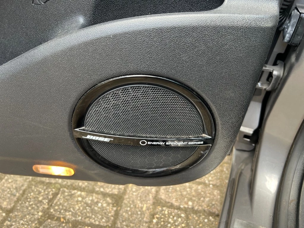 Hoofdafbeelding Renault Scénic