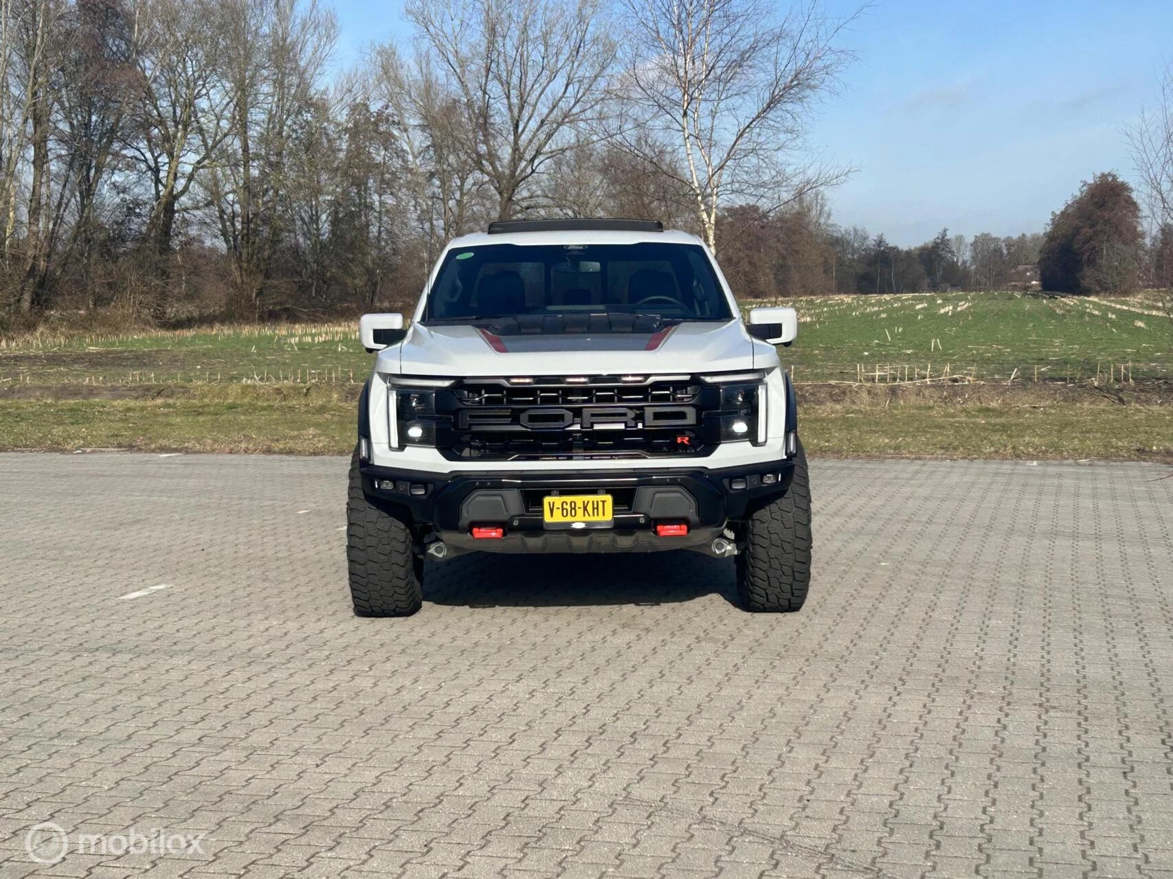 Hoofdafbeelding Ford F-150
