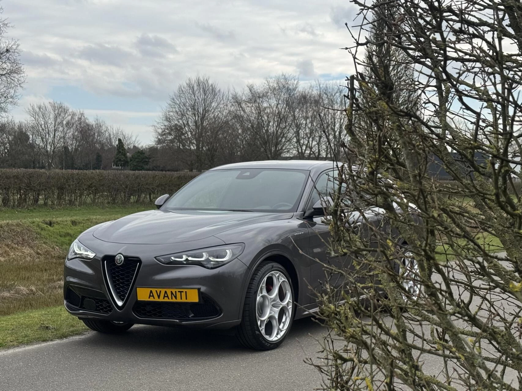 Hoofdafbeelding Alfa Romeo Stelvio