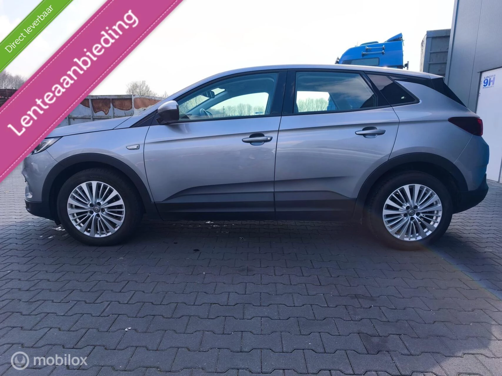 Hoofdafbeelding Opel Grandland X
