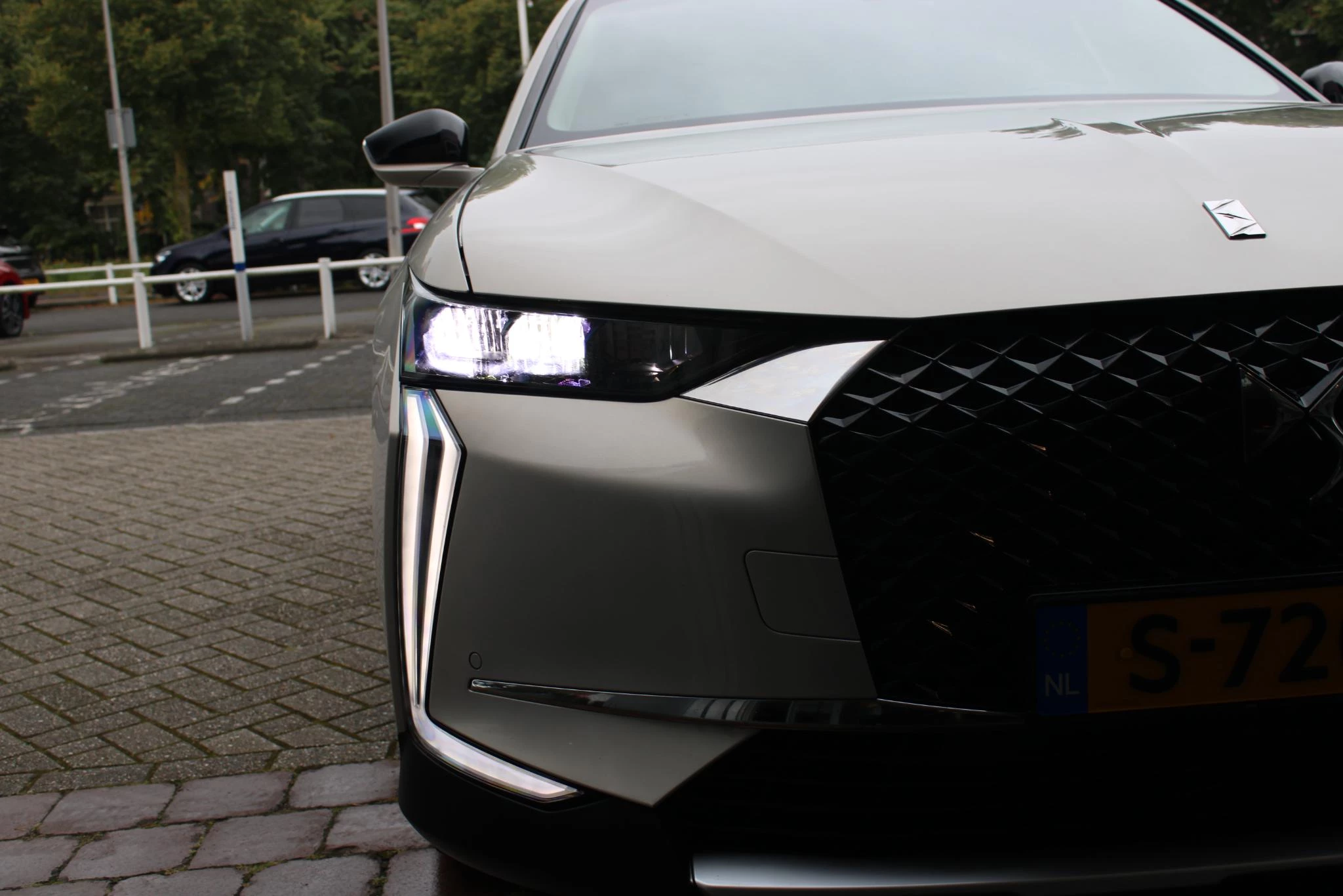 Hoofdafbeelding DS DS 4