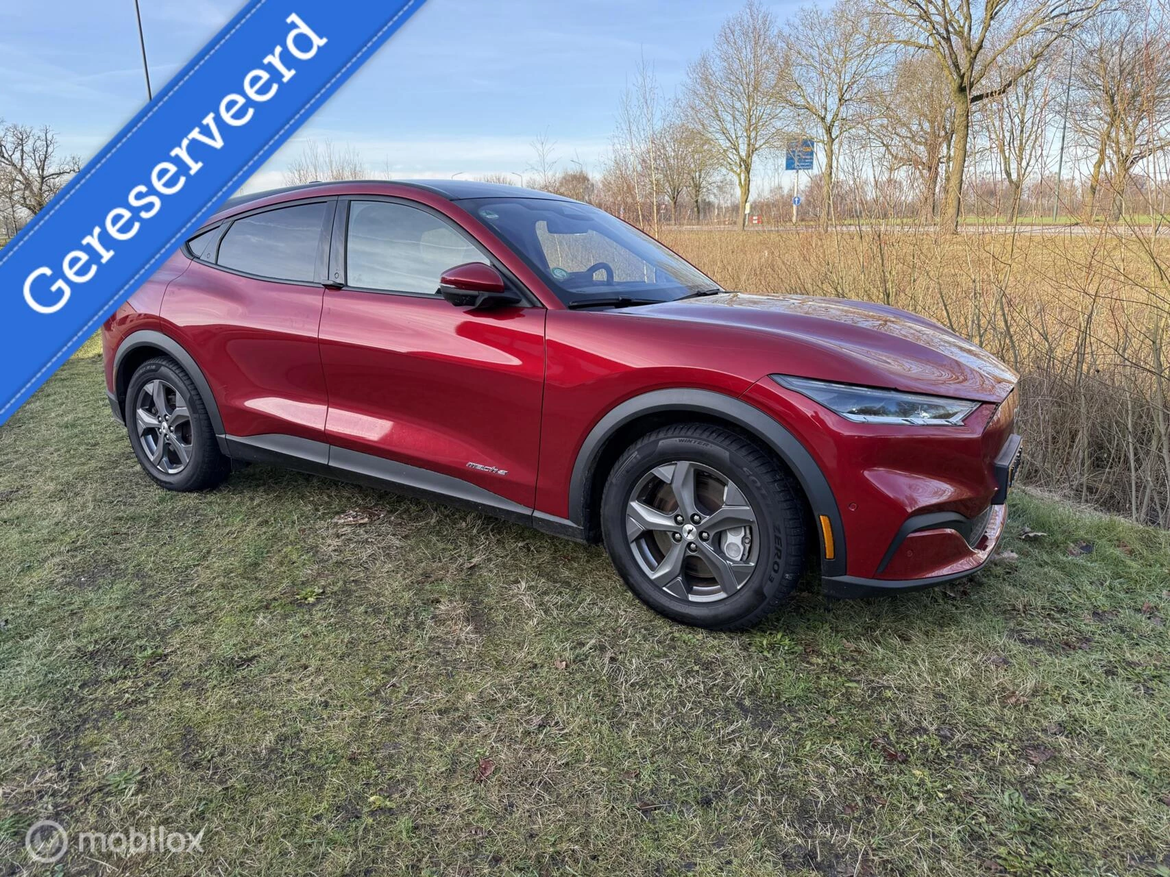 Hoofdafbeelding Ford Mustang Mach-E