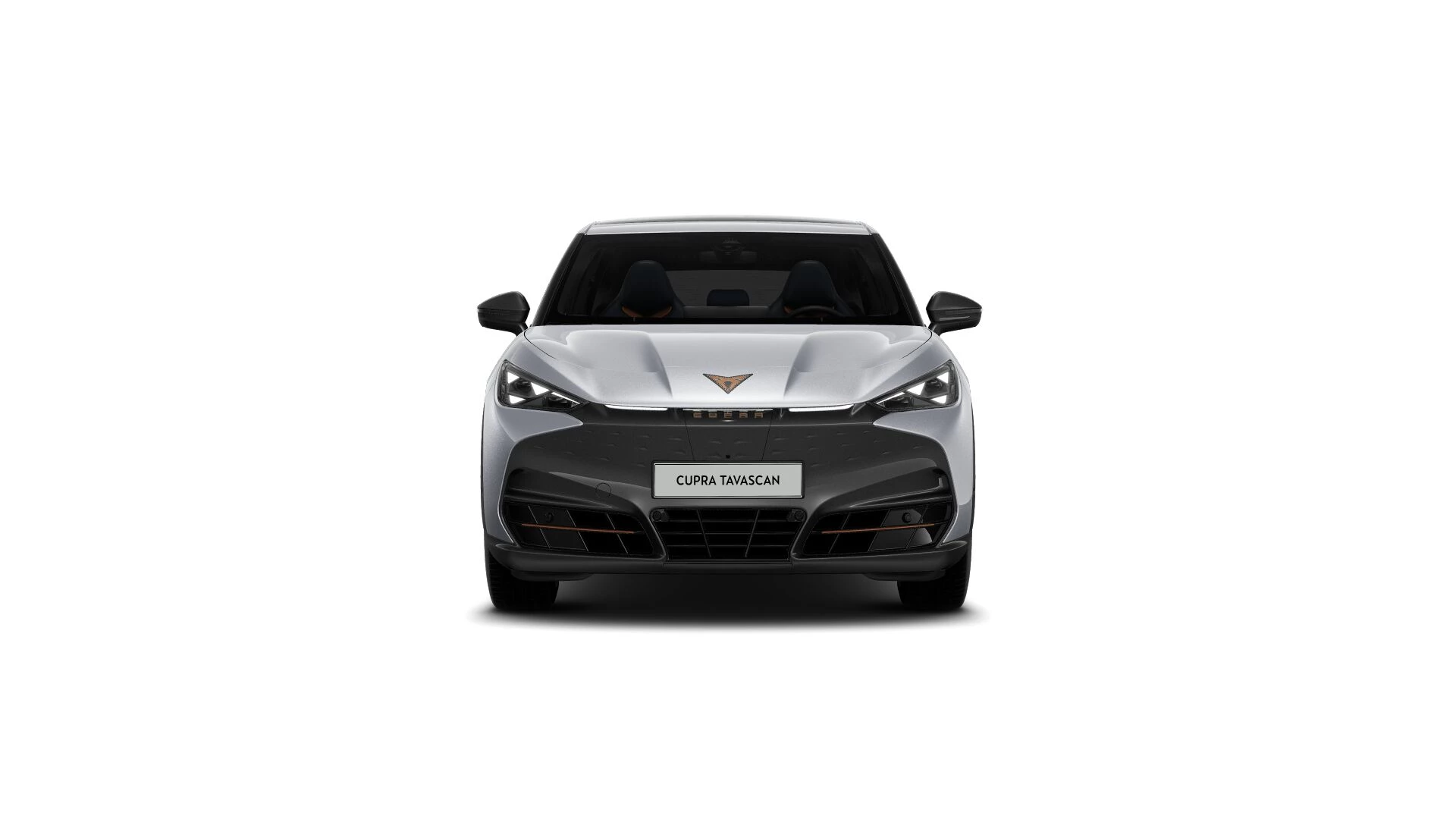 Hoofdafbeelding CUPRA Tavascan