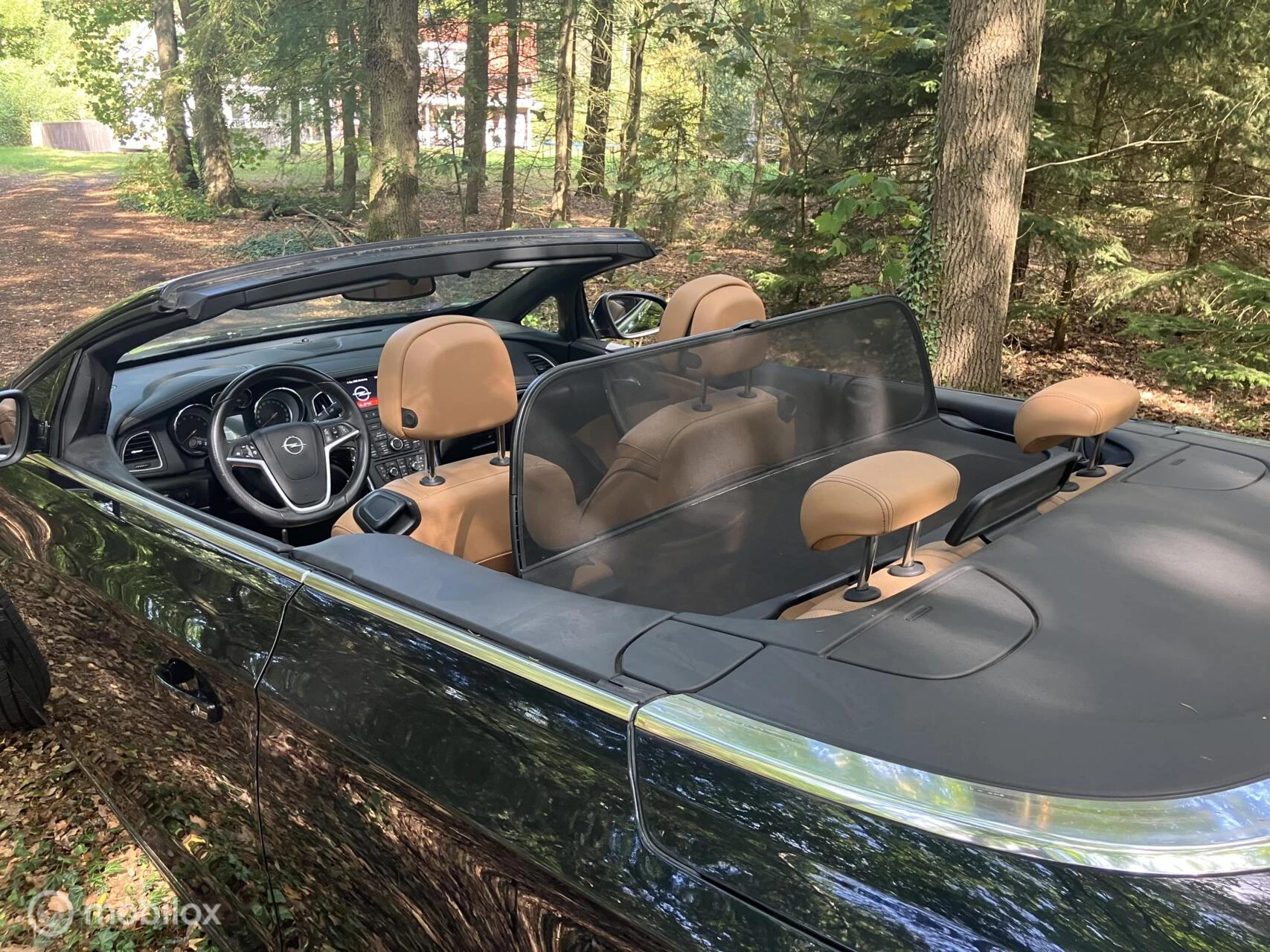 Hoofdafbeelding Opel Cascada