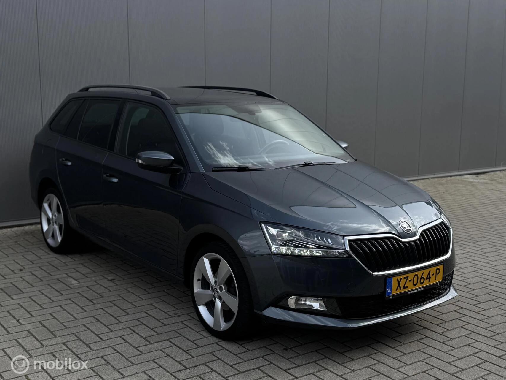 Hoofdafbeelding Škoda Fabia