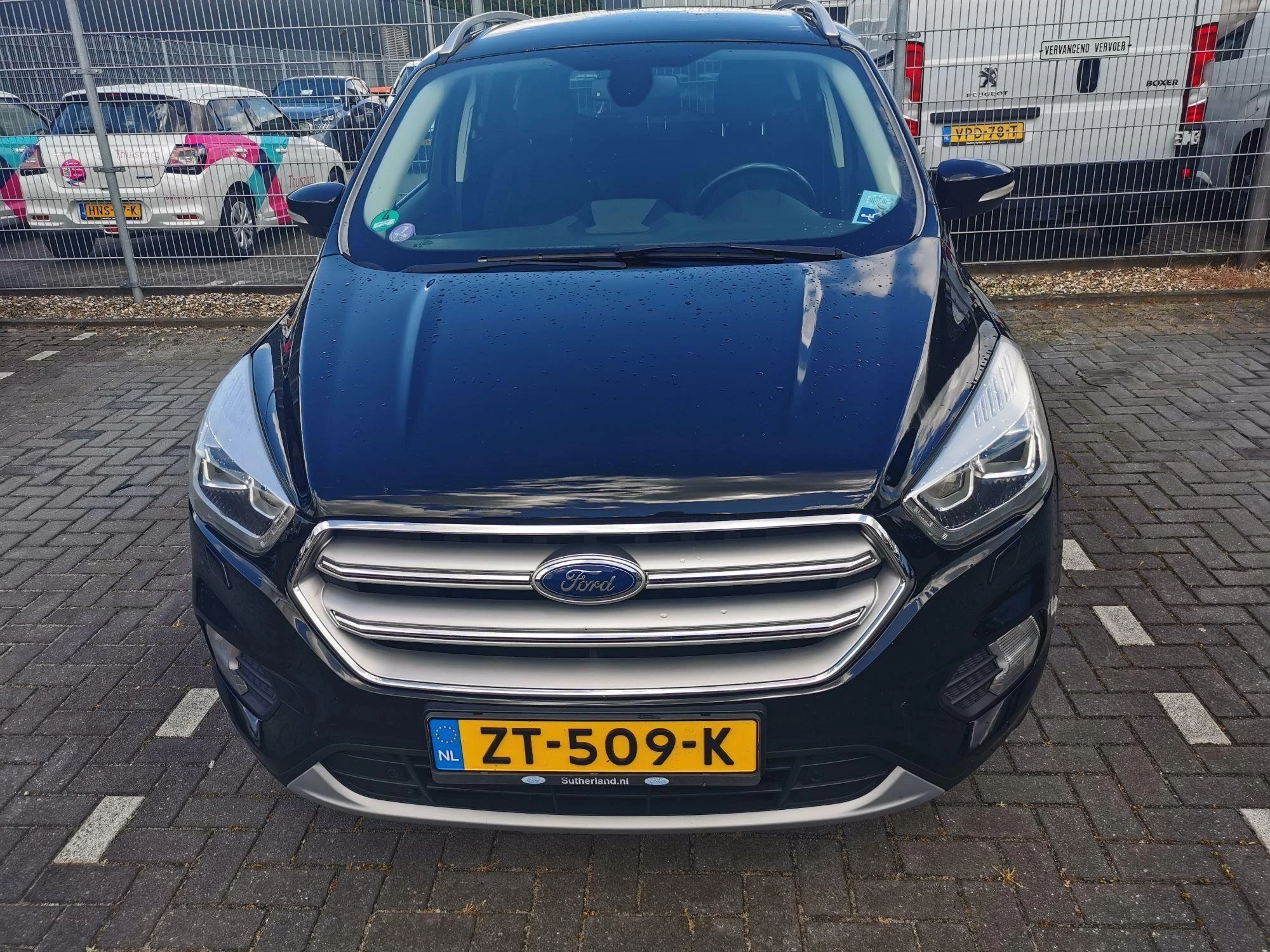 Hoofdafbeelding Ford Kuga