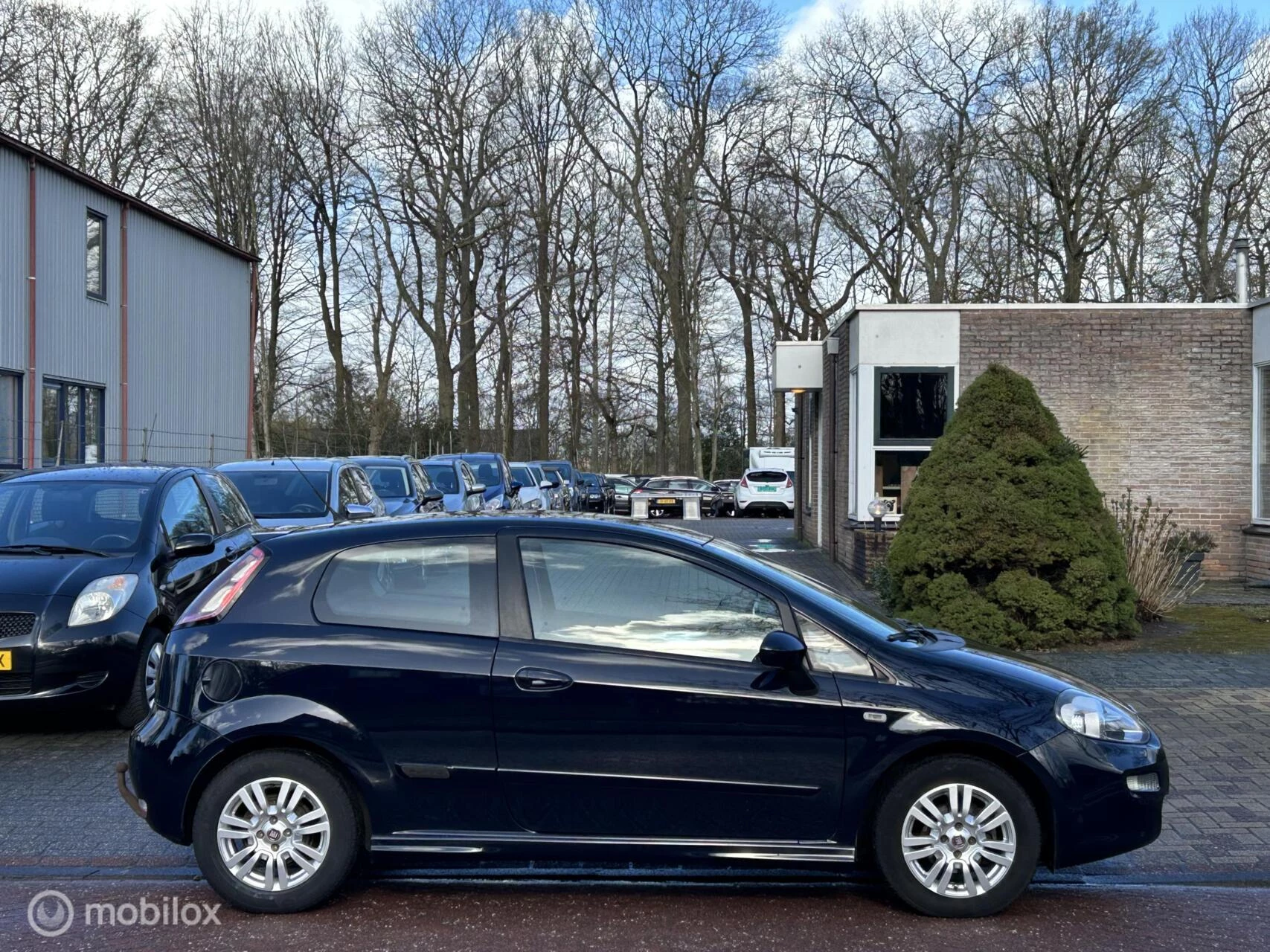 Hoofdafbeelding Fiat Punto