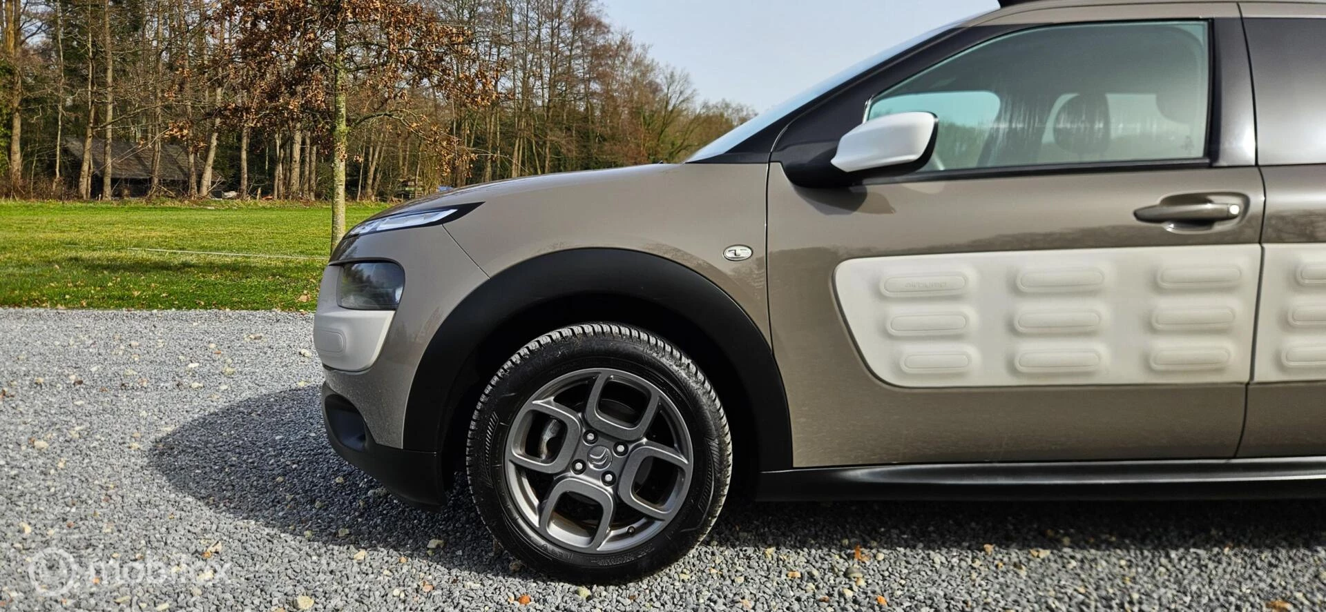 Hoofdafbeelding Citroën C4 Cactus