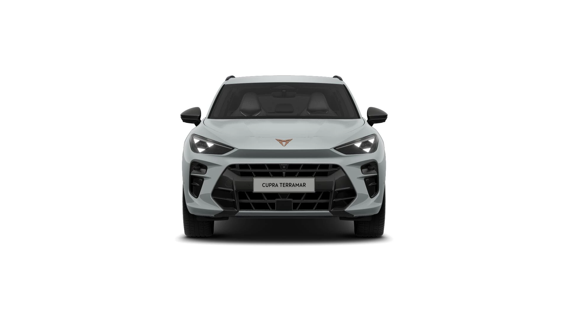 Hoofdafbeelding CUPRA Terramar