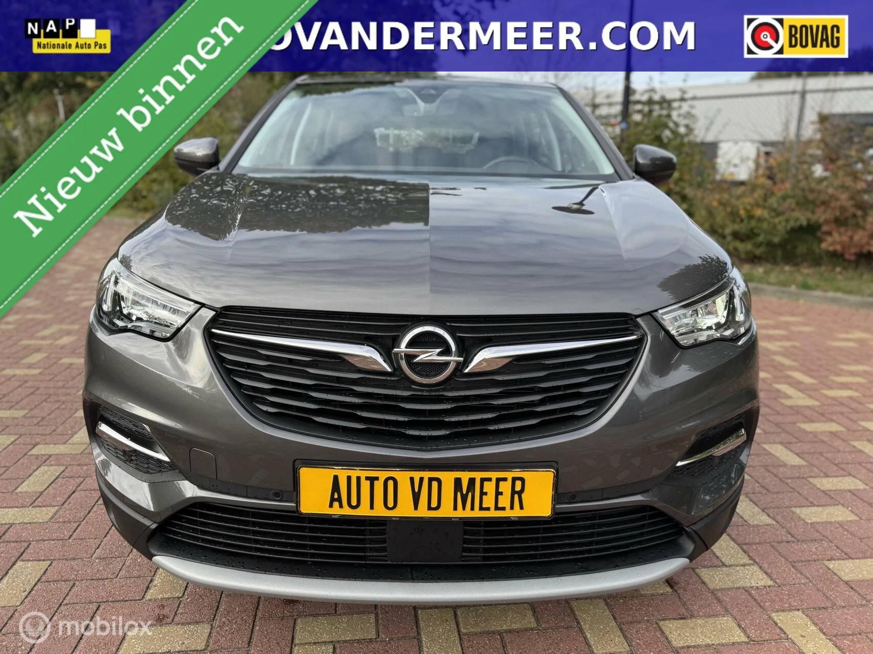 Hoofdafbeelding Opel Grandland X