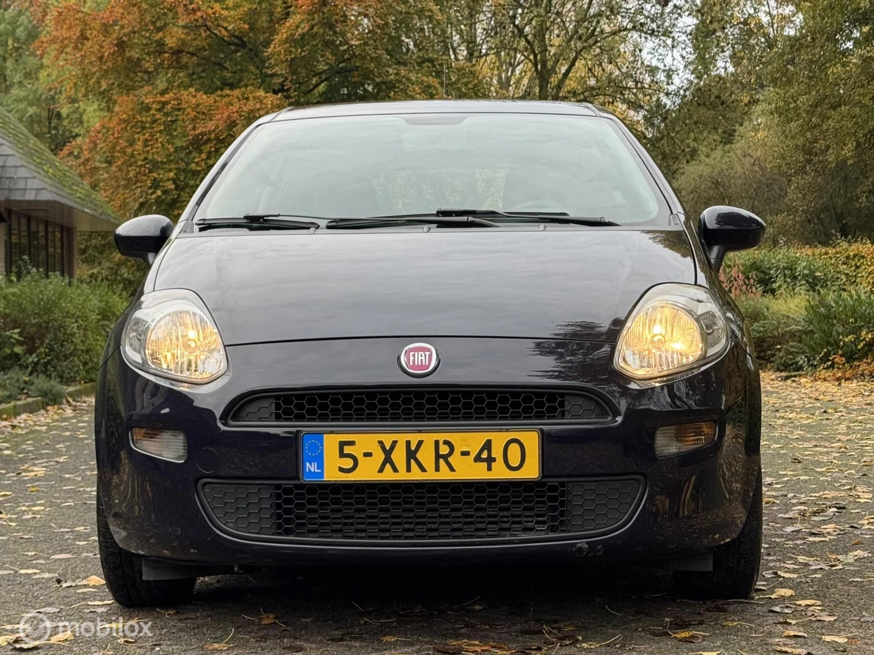 Hoofdafbeelding Fiat Punto