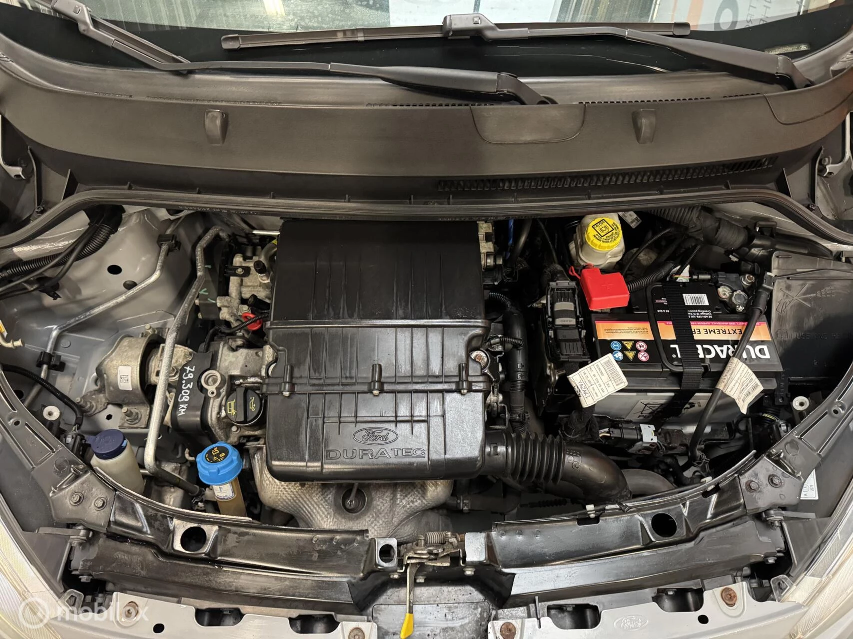 Hoofdafbeelding Ford Ka