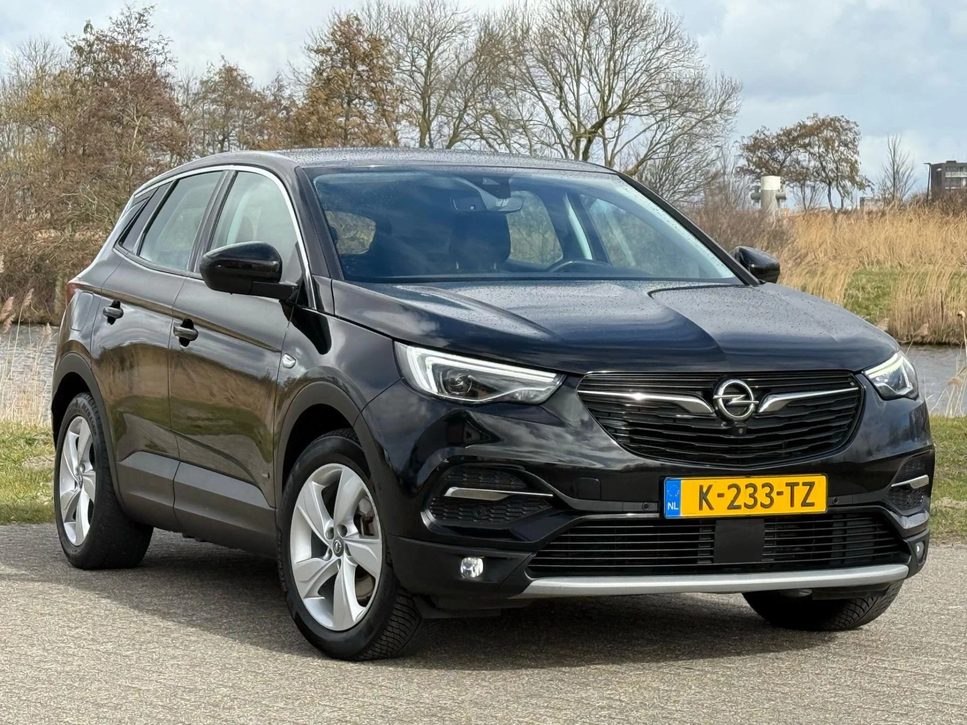 Hoofdafbeelding Opel Grandland X