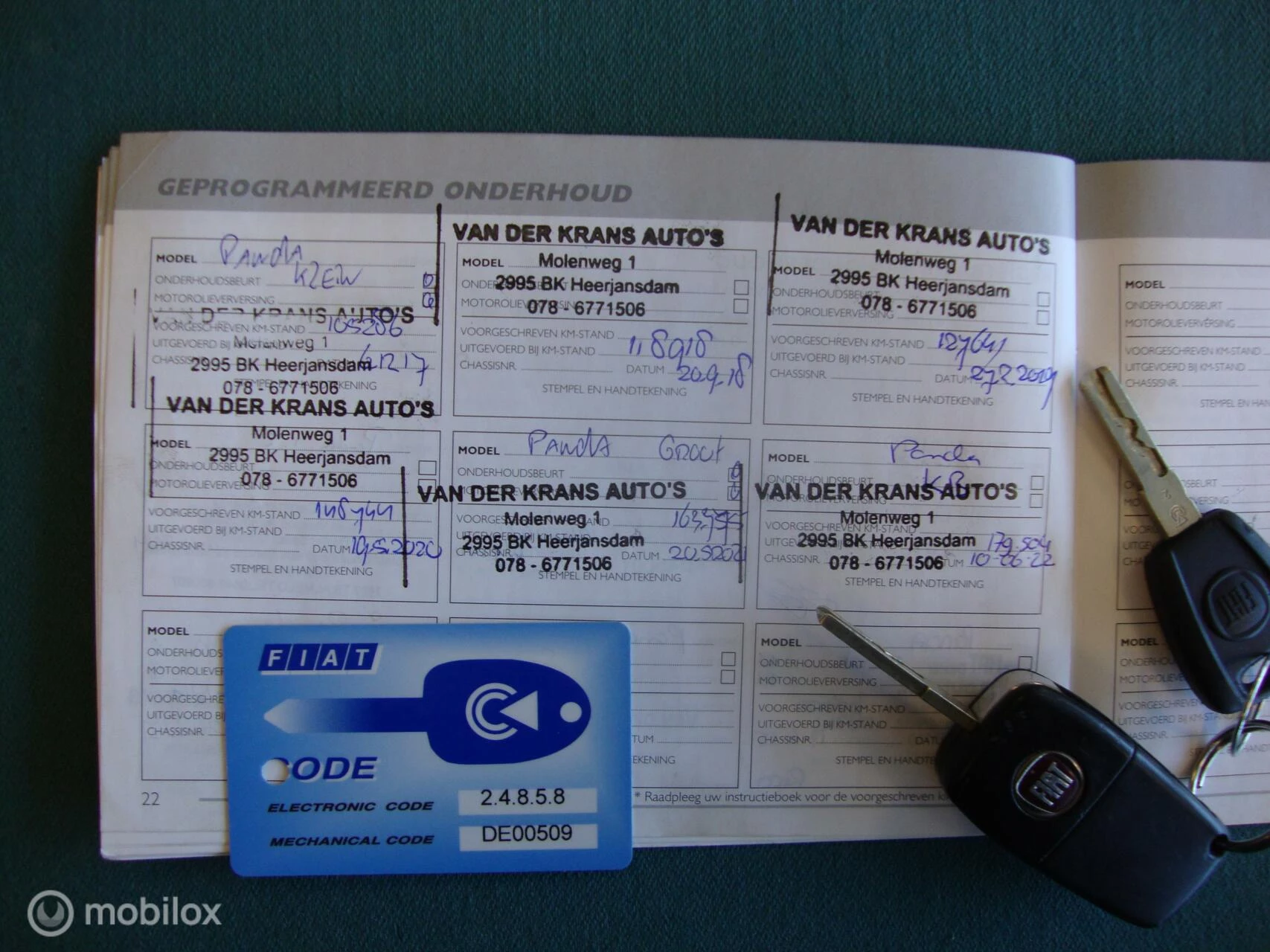 Hoofdafbeelding Fiat Panda