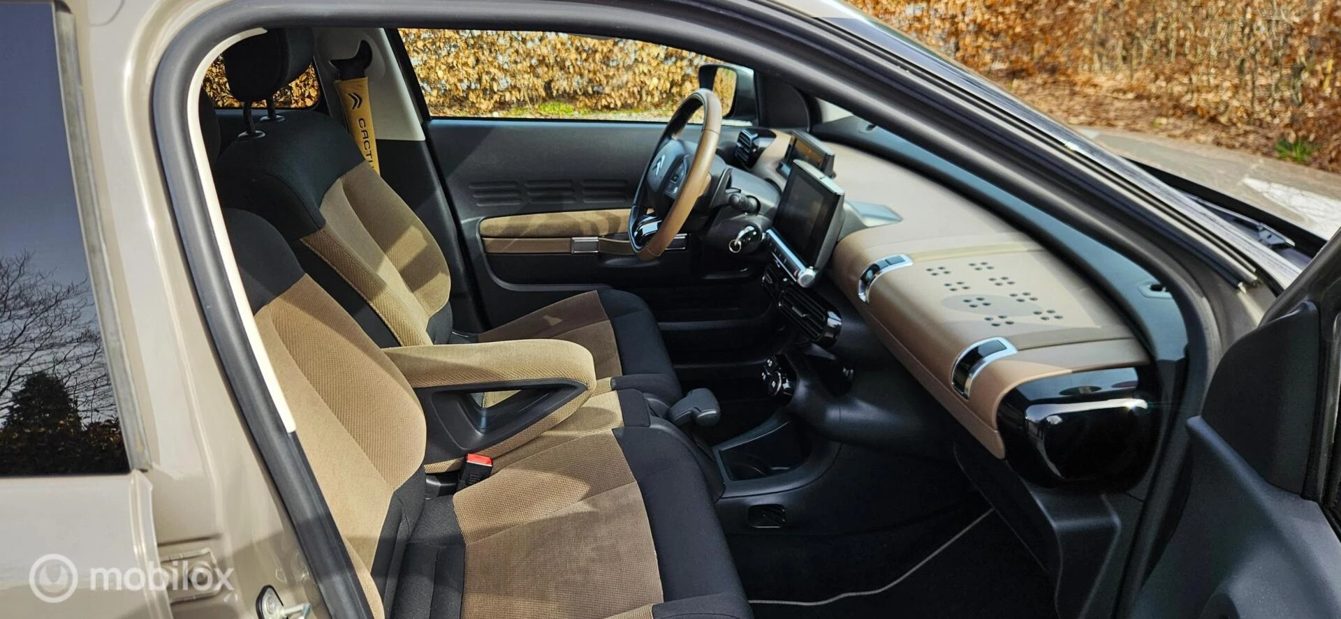 Hoofdafbeelding Citroën C4 Cactus