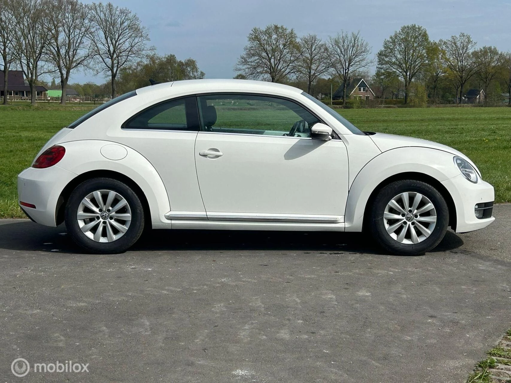 Hoofdafbeelding Volkswagen Beetle
