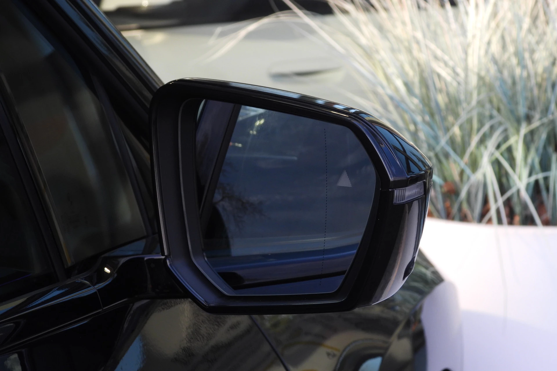 Hoofdafbeelding BMW iX