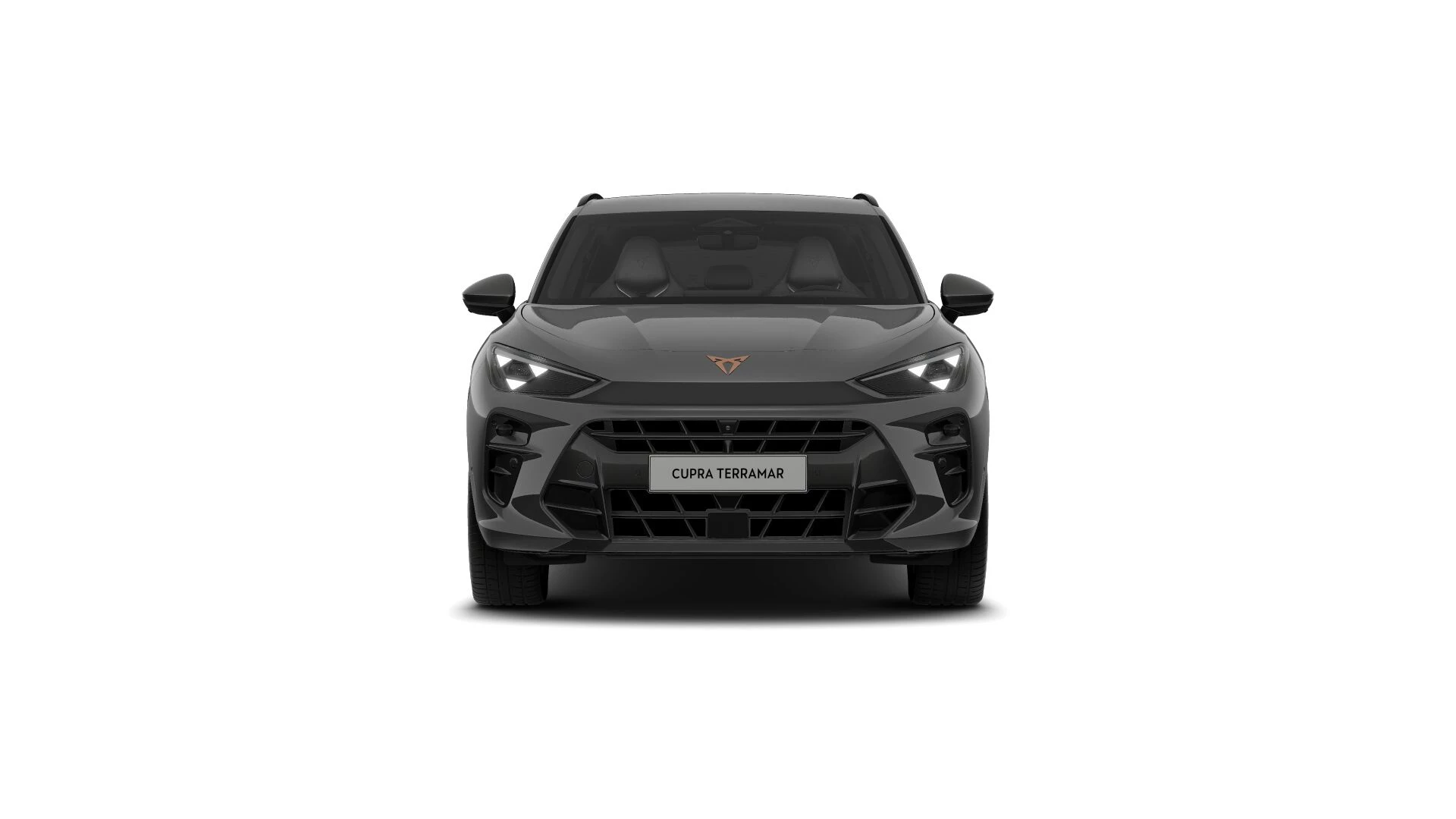 Hoofdafbeelding CUPRA Terramar