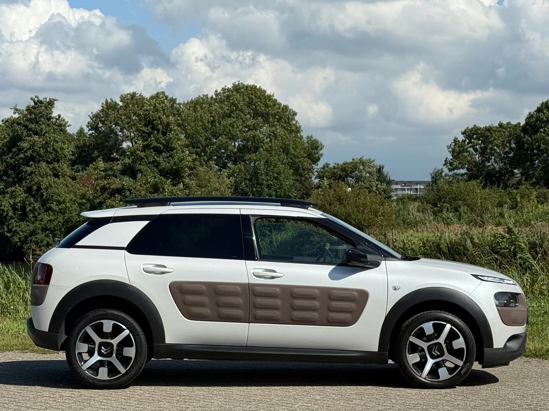 Hoofdafbeelding Citroën C4 Cactus