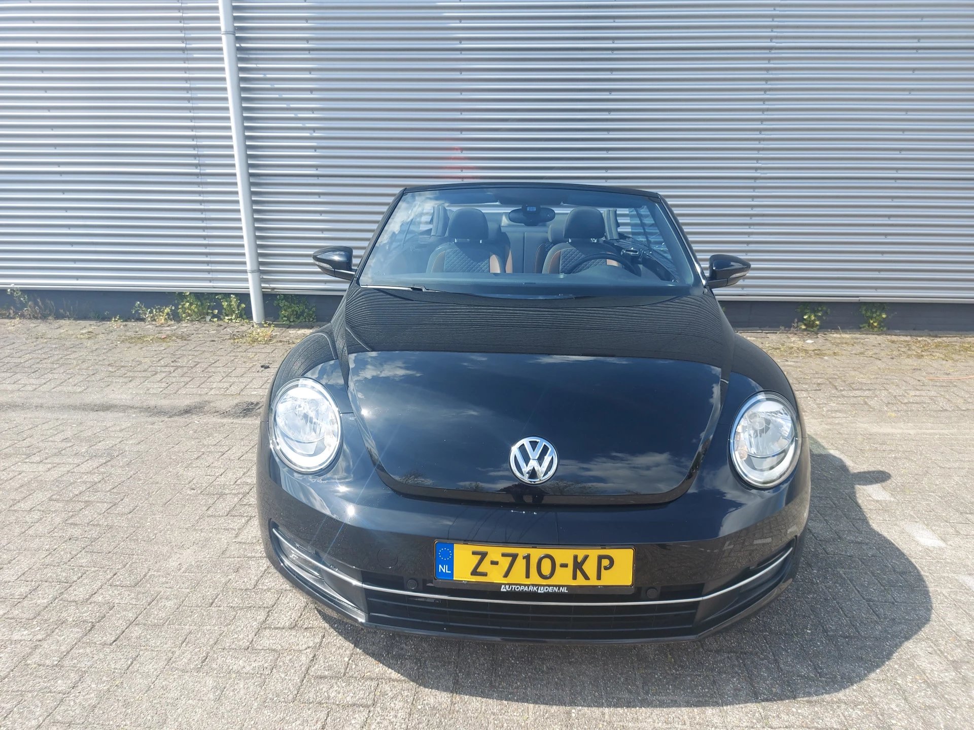 Hoofdafbeelding Volkswagen Beetle