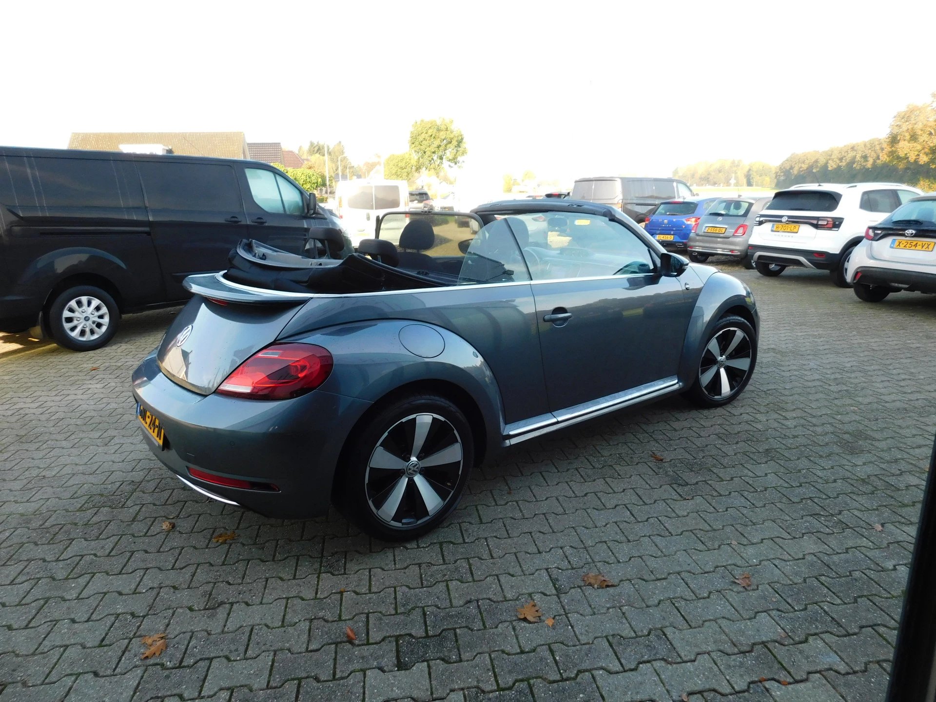 Hoofdafbeelding Volkswagen Beetle