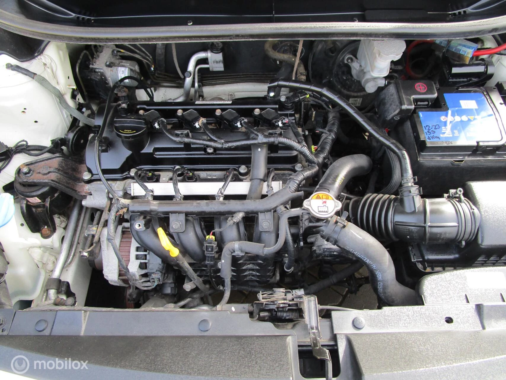 Hoofdafbeelding Kia Rio