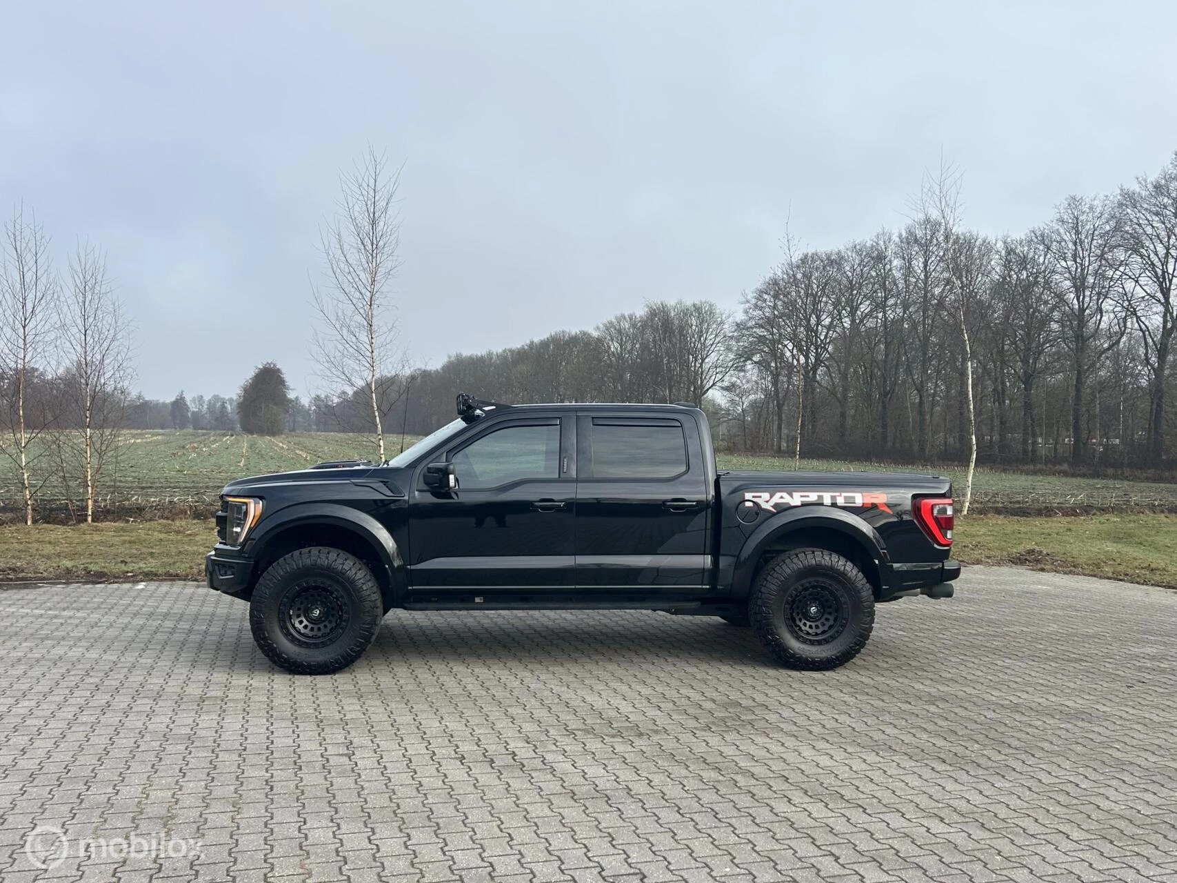 Hoofdafbeelding Ford F-150