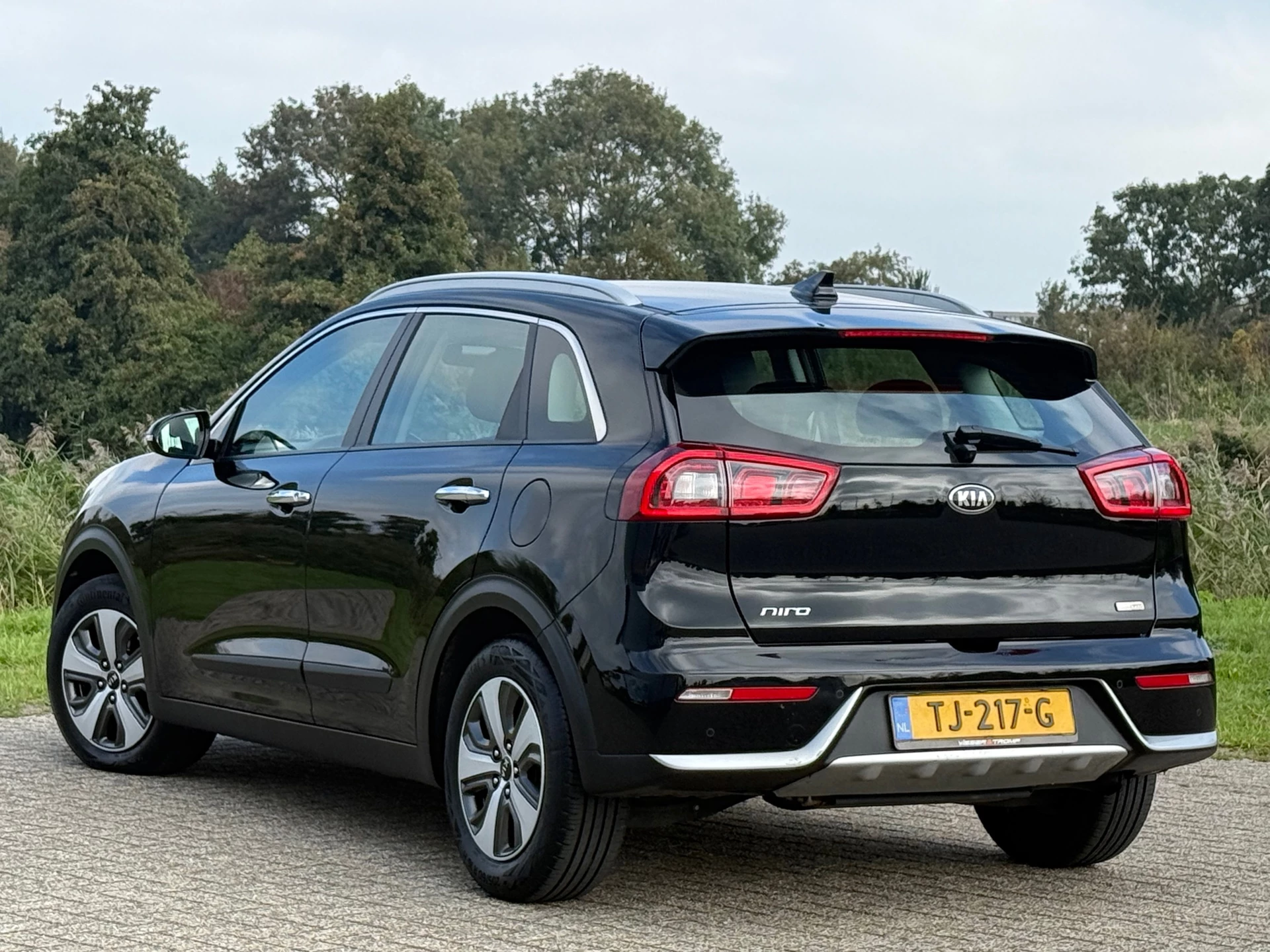 Hoofdafbeelding Kia Niro