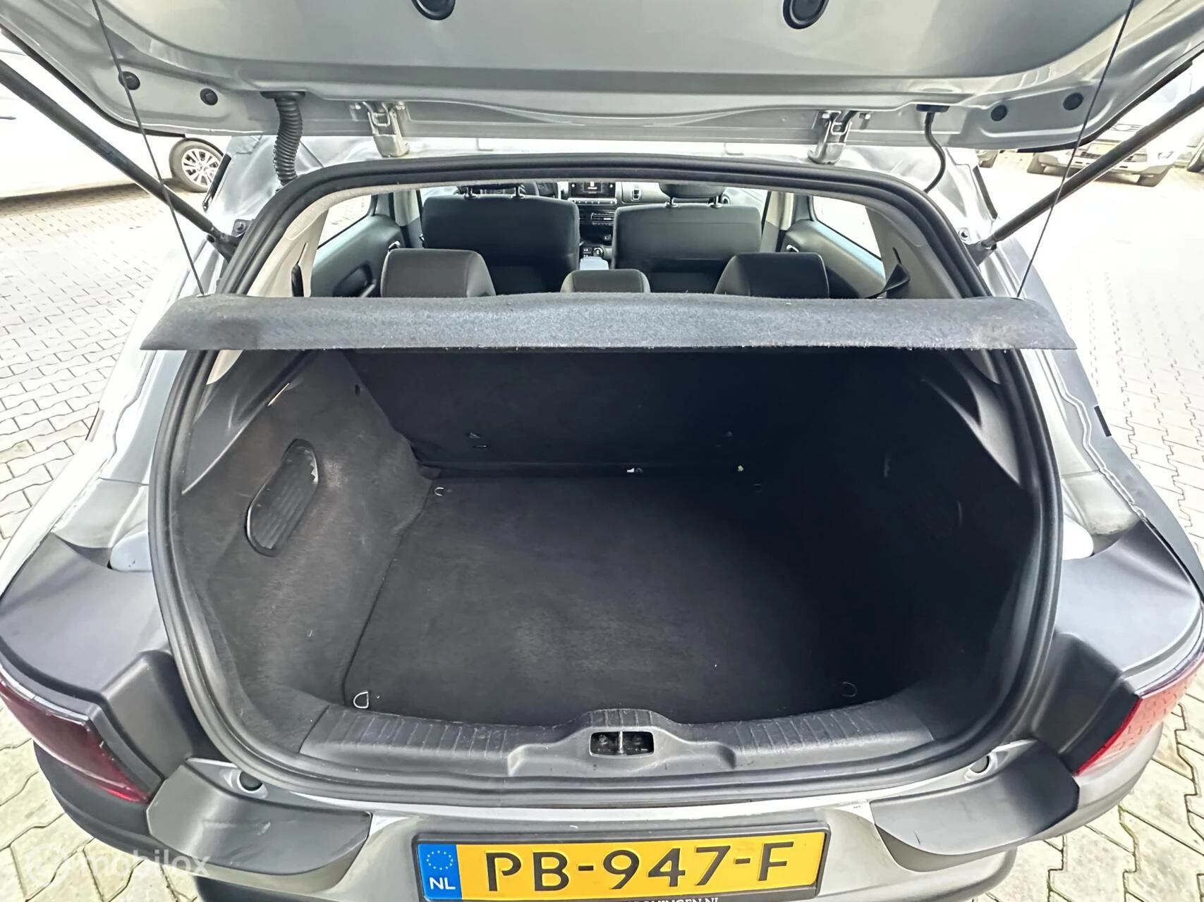 Hoofdafbeelding Citroën C4 Cactus