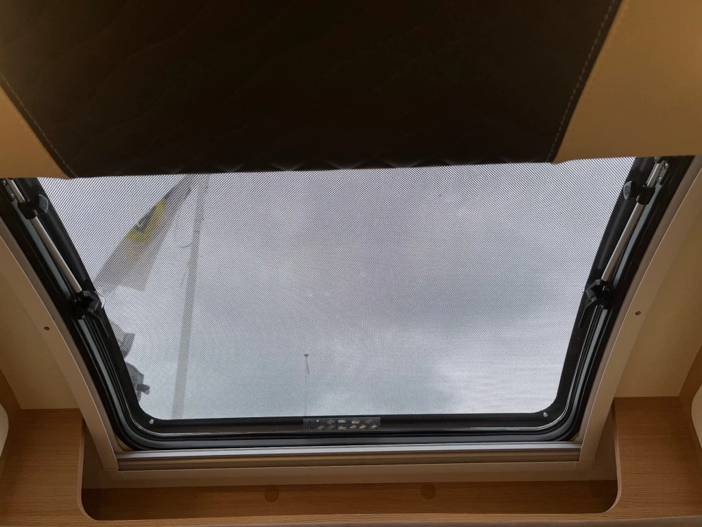 Hoofdafbeelding McLouis YEARLING