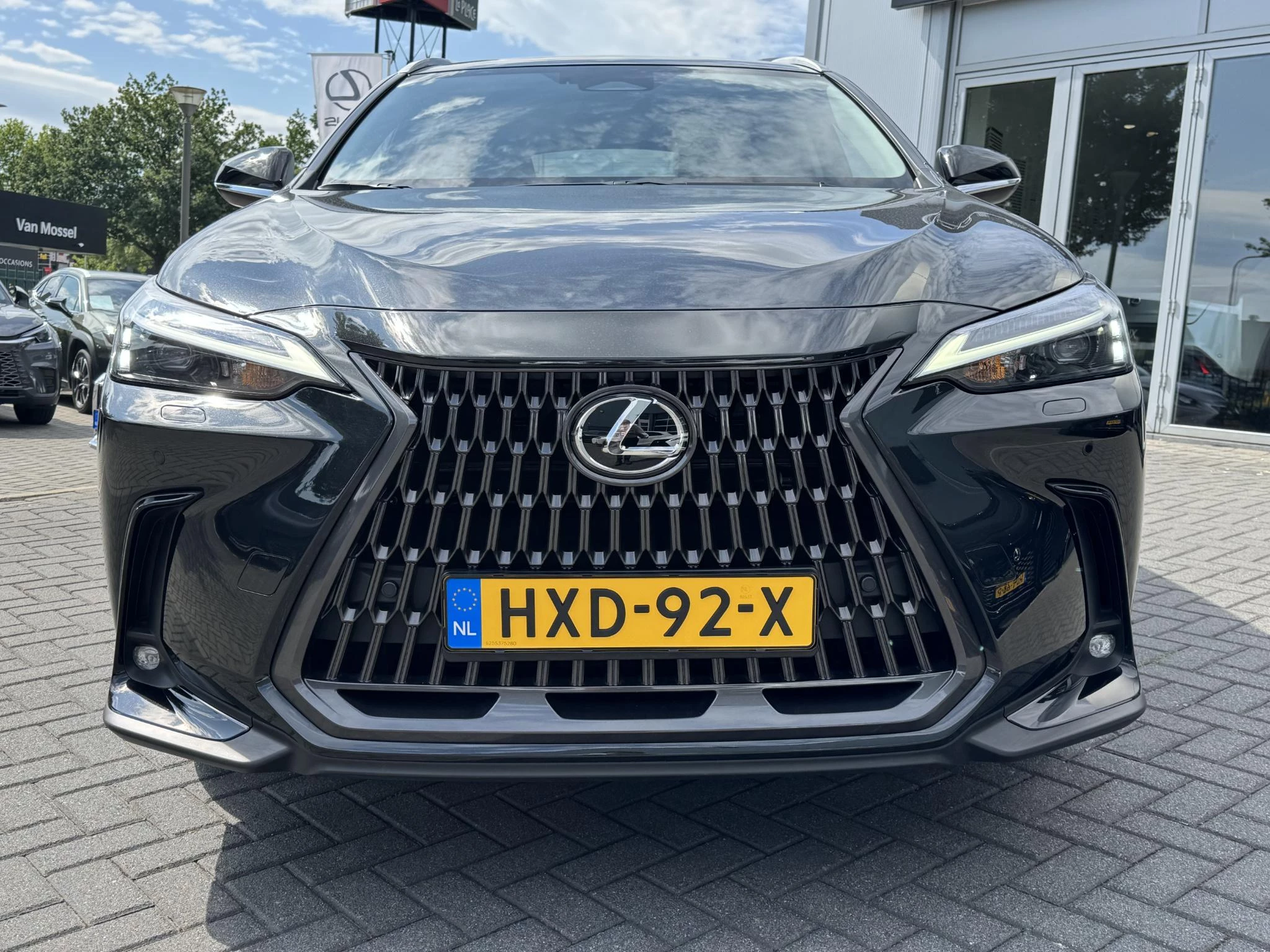 Hoofdafbeelding Lexus NX