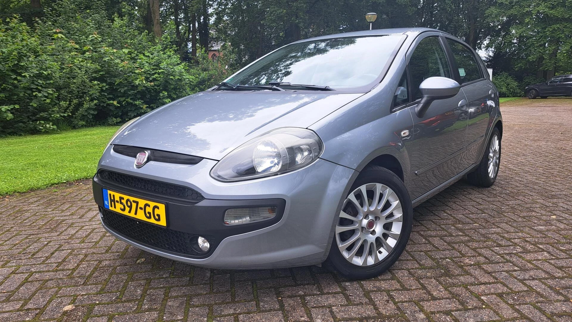 Hoofdafbeelding Fiat Punto